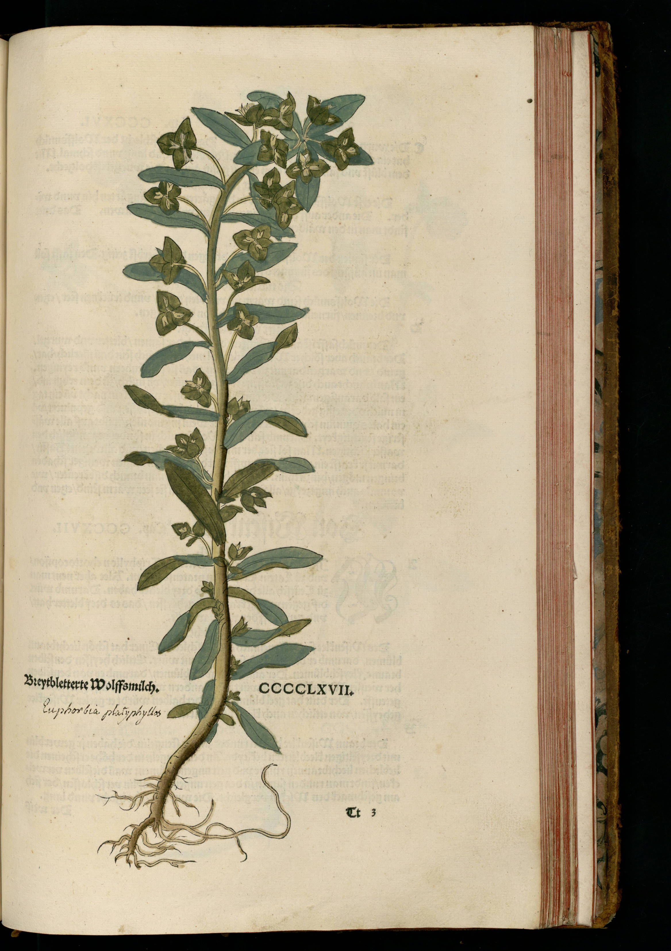 no full size  illustration available (3a)