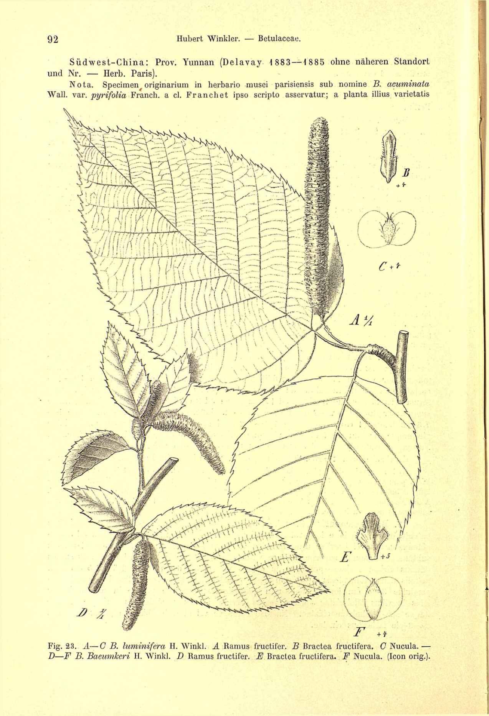 no full size  illustration available (3a)