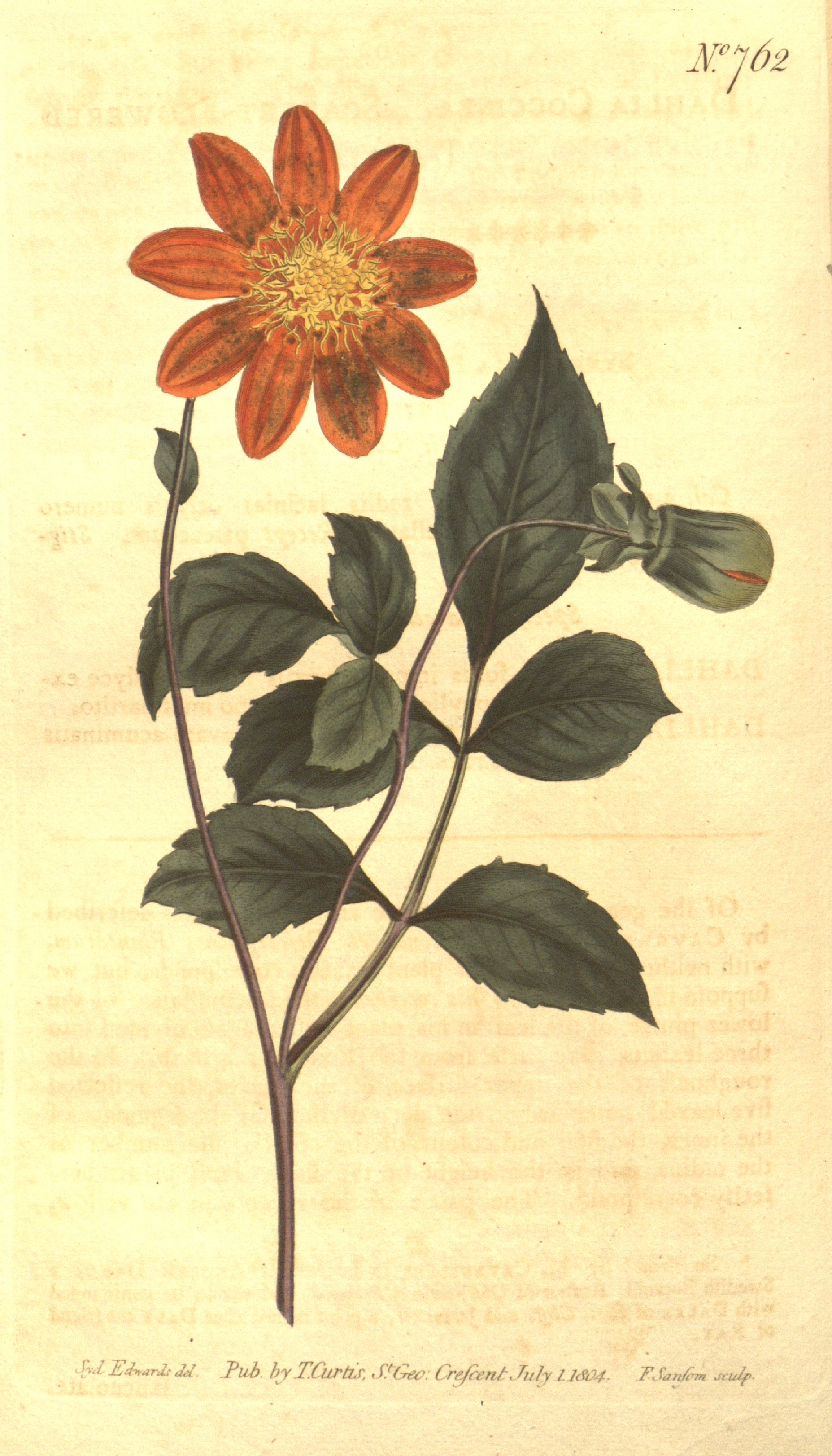 no full size  illustration available (3a)