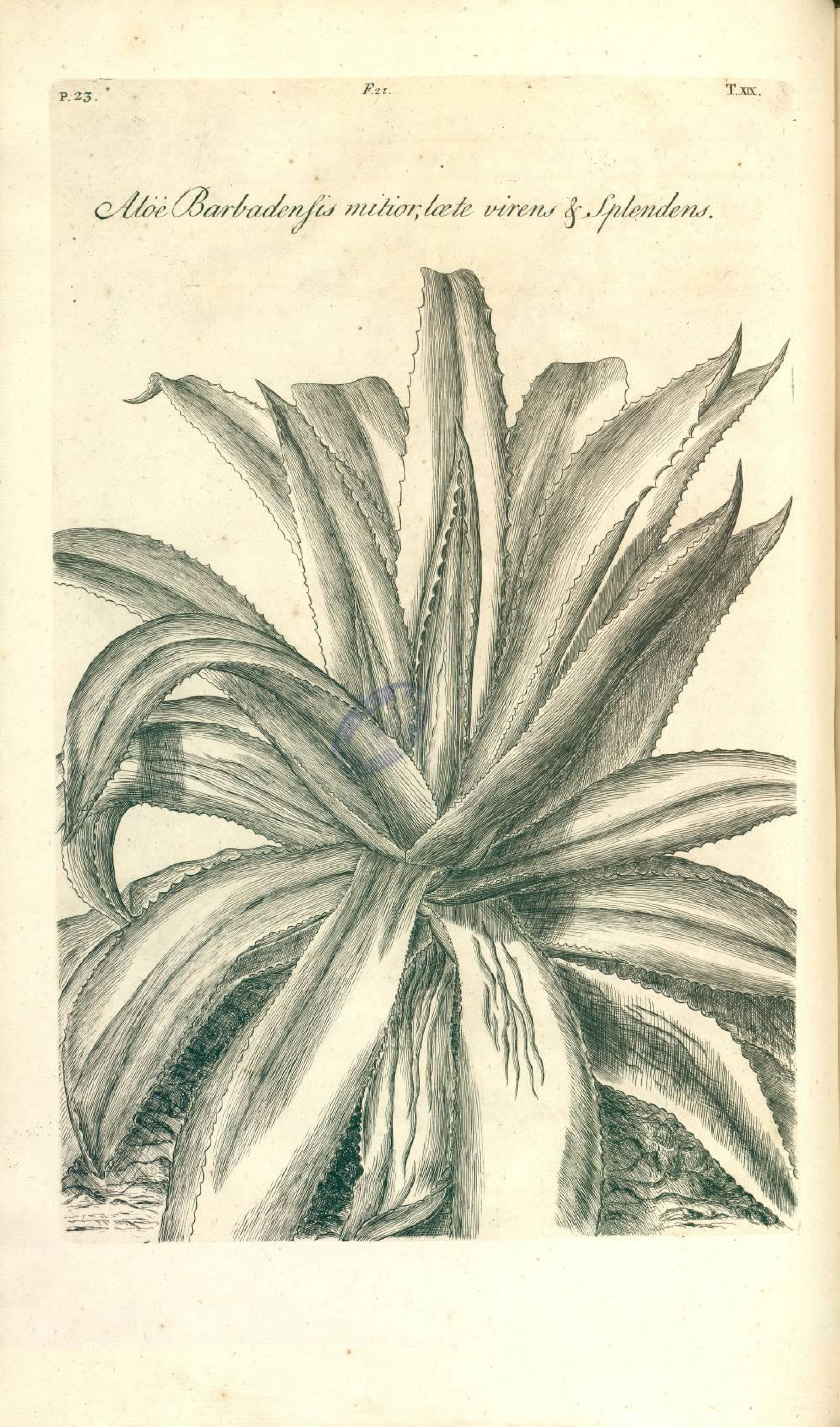 no full size  illustration available (3a)