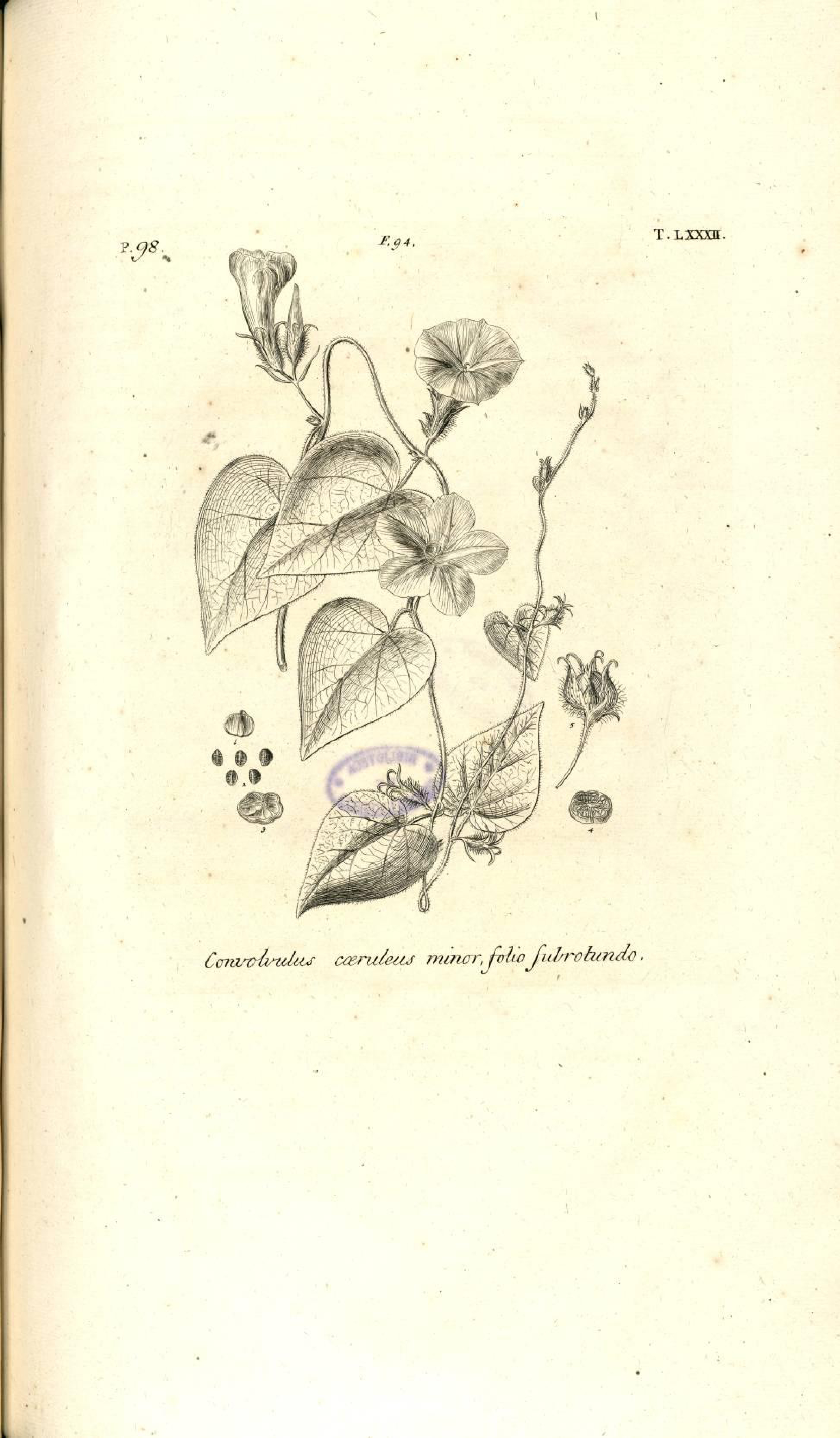 no full size  illustration available (3a)