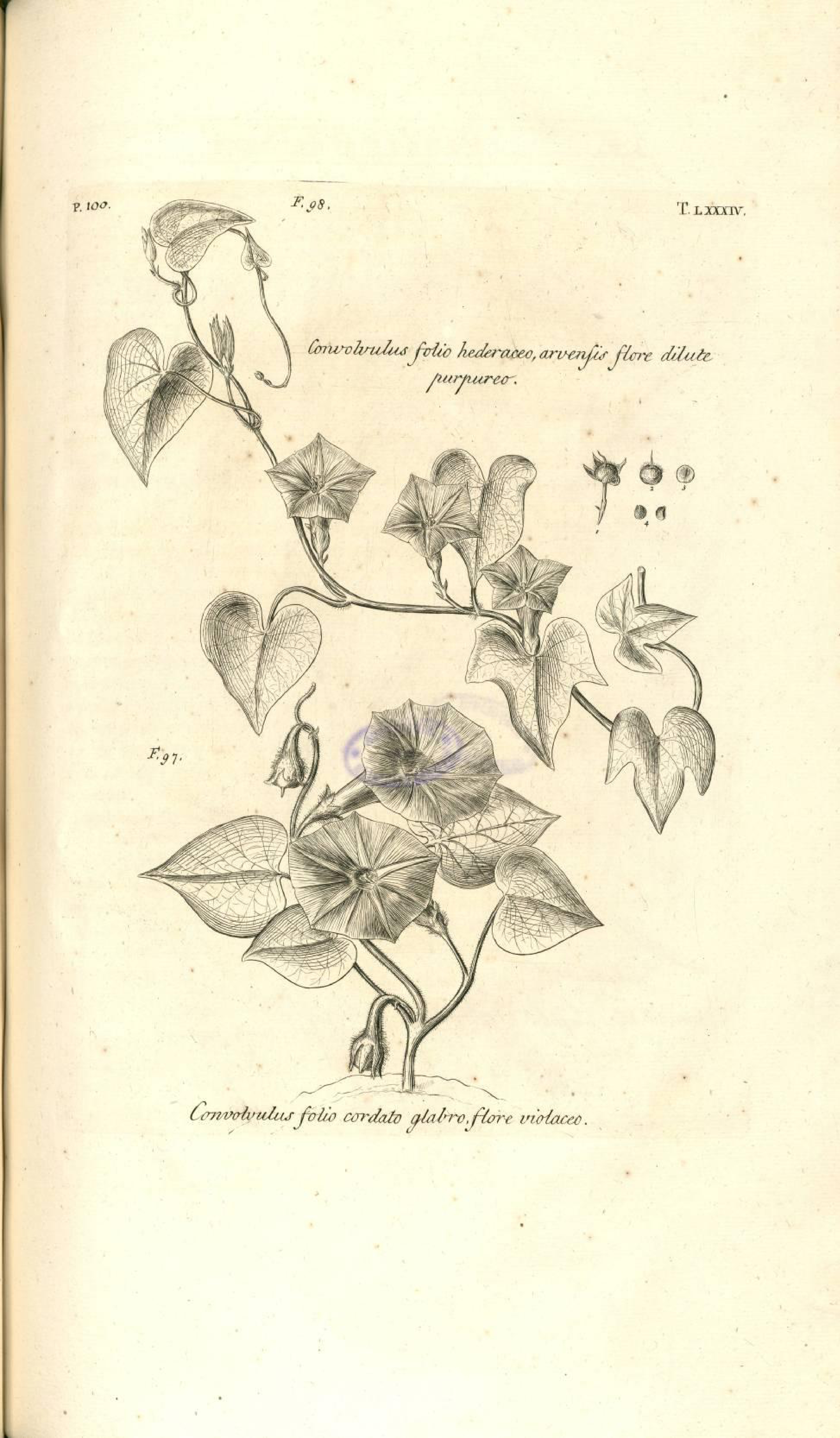 no full size  illustration available (3a)