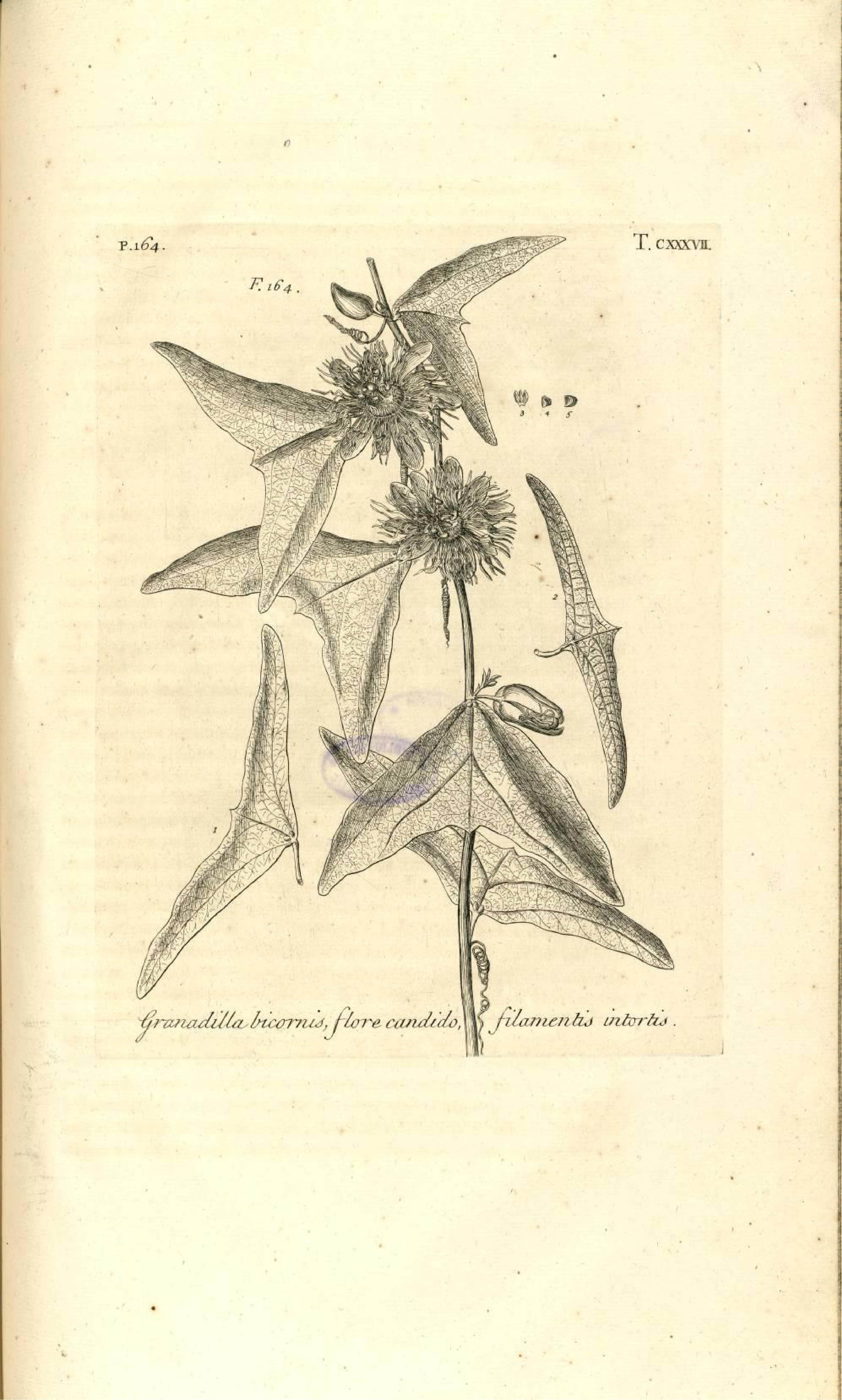 no full size  illustration available (3a)