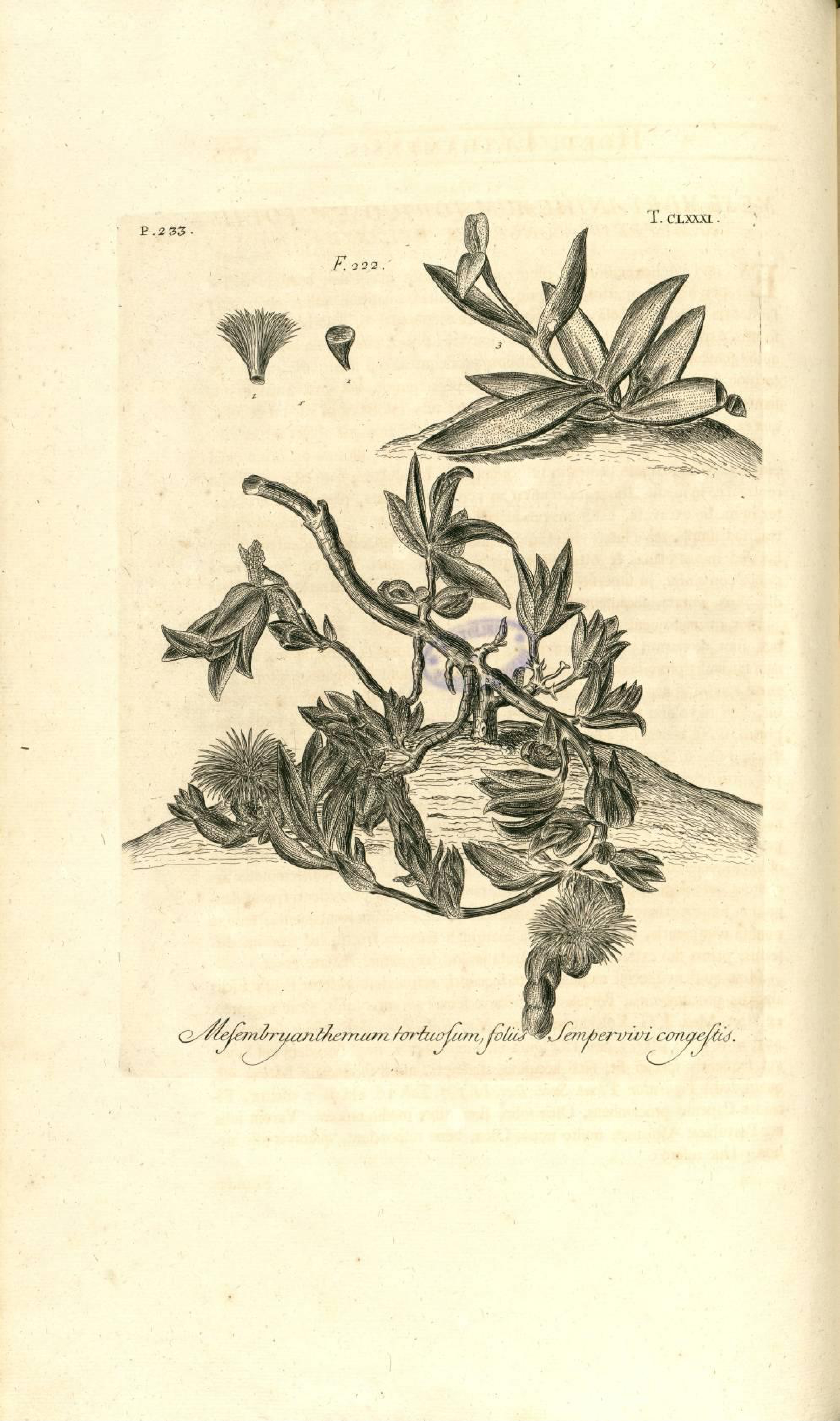 no full size  illustration available (3a)