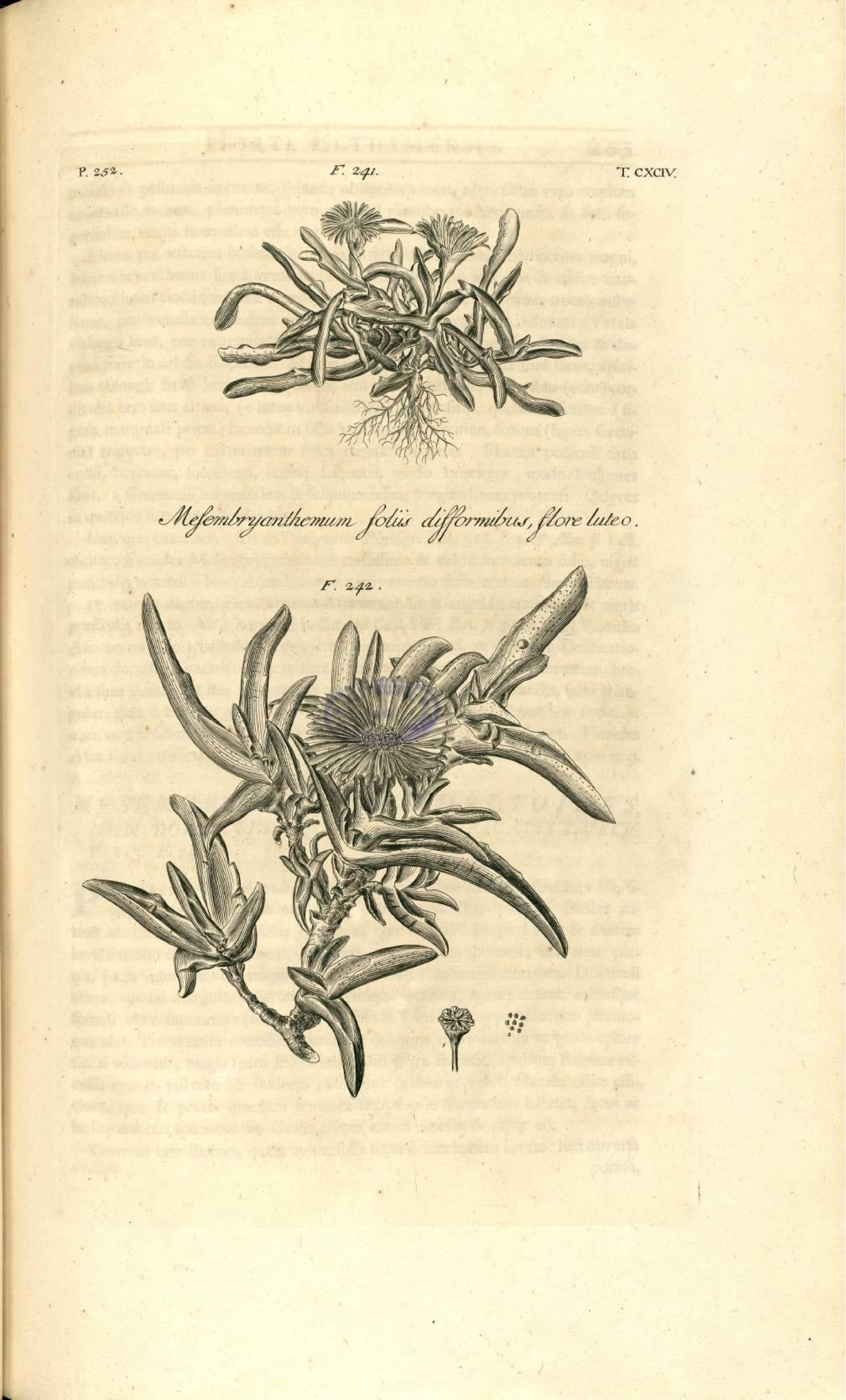 no full size  illustration available (3a)