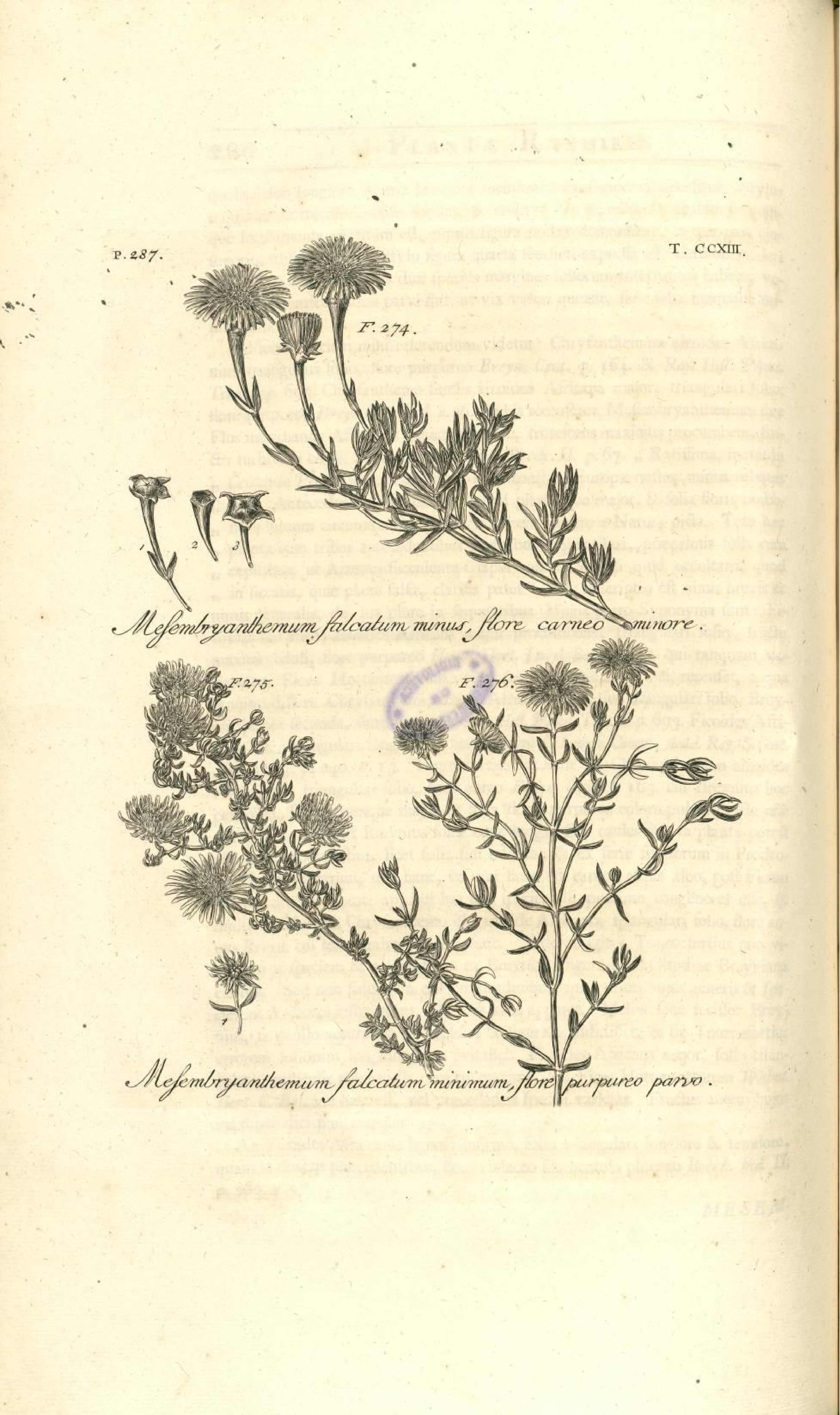 no full size  illustration available (3a)