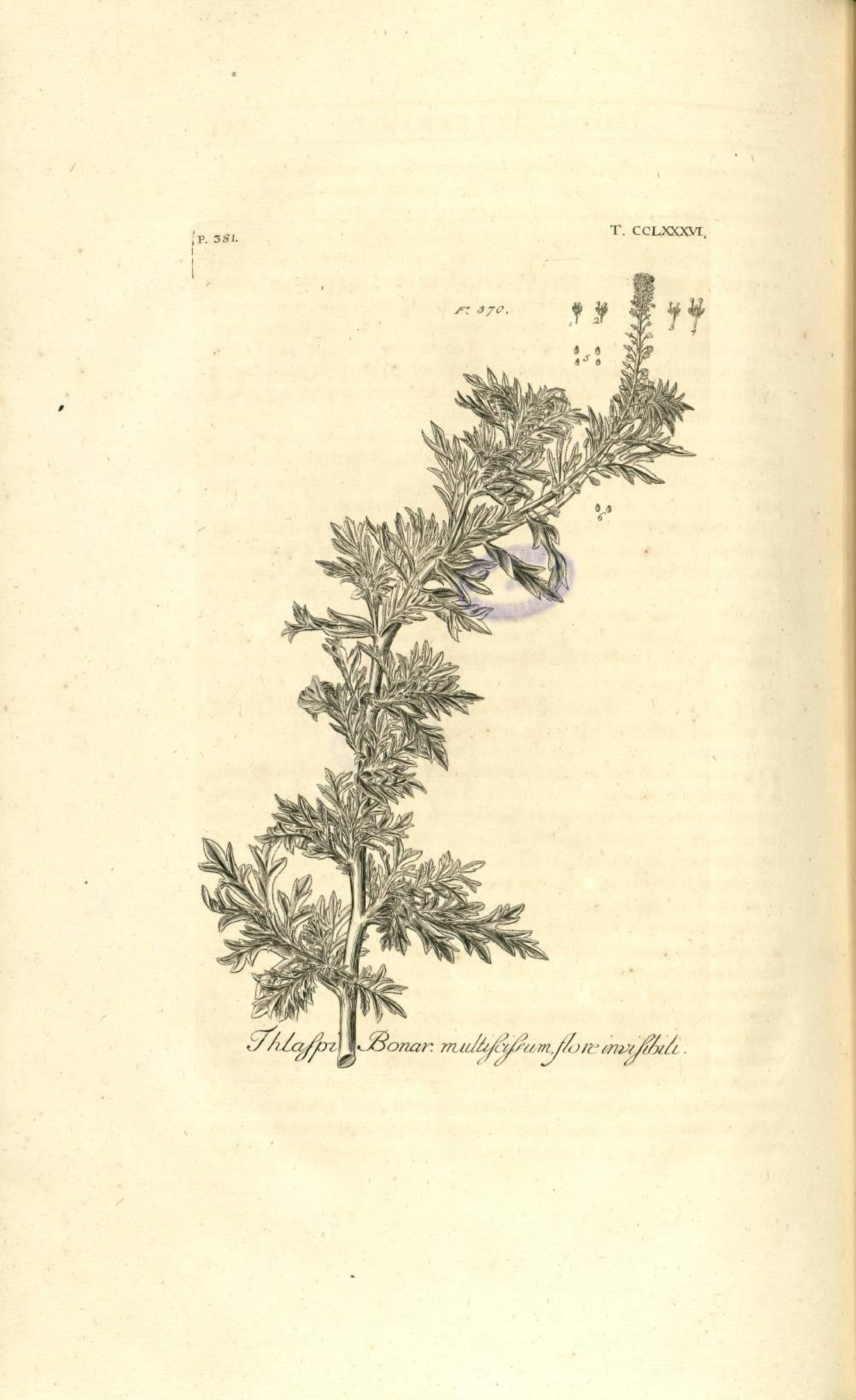 no full size  illustration available (3a)