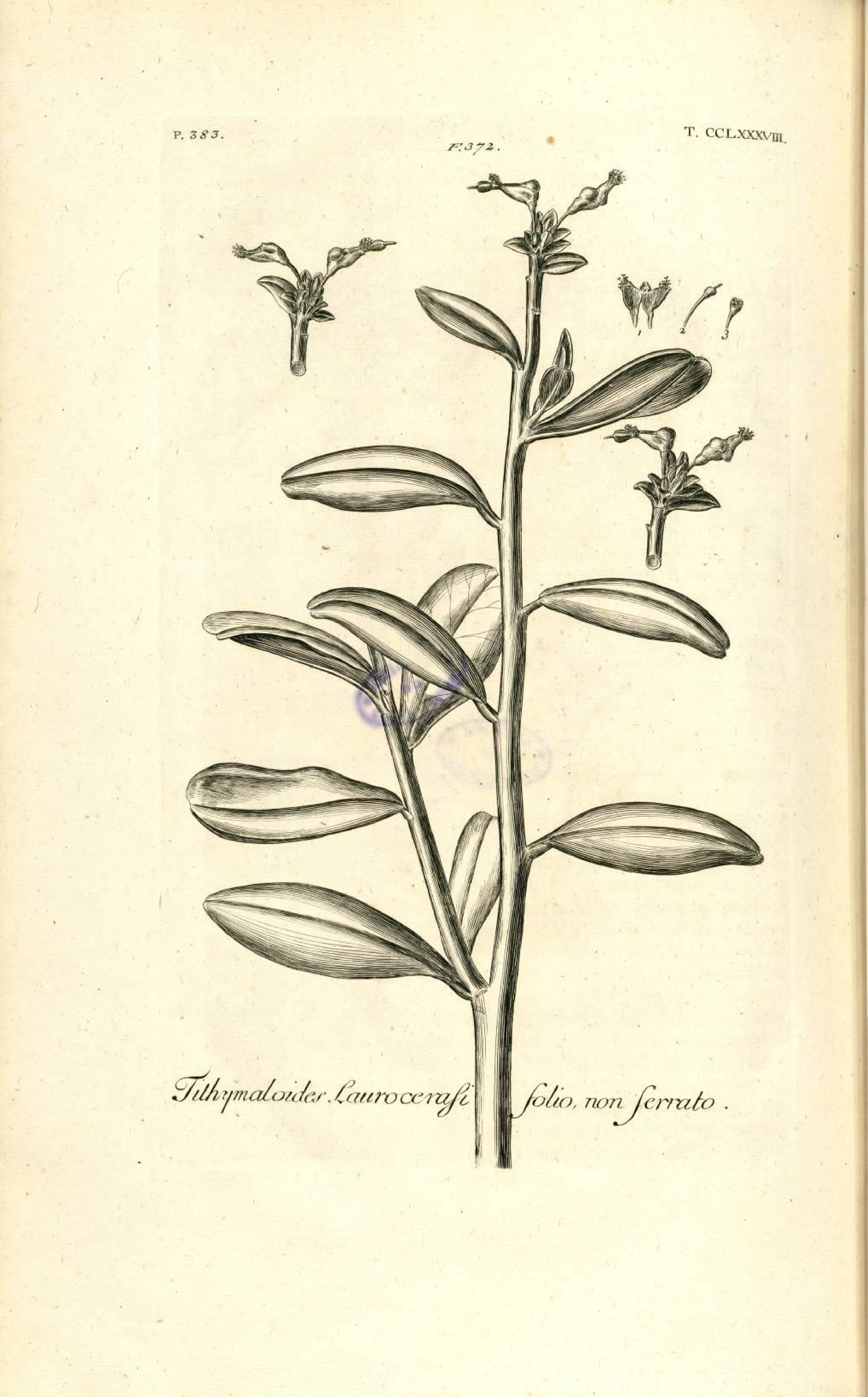 no full size  illustration available (3a)