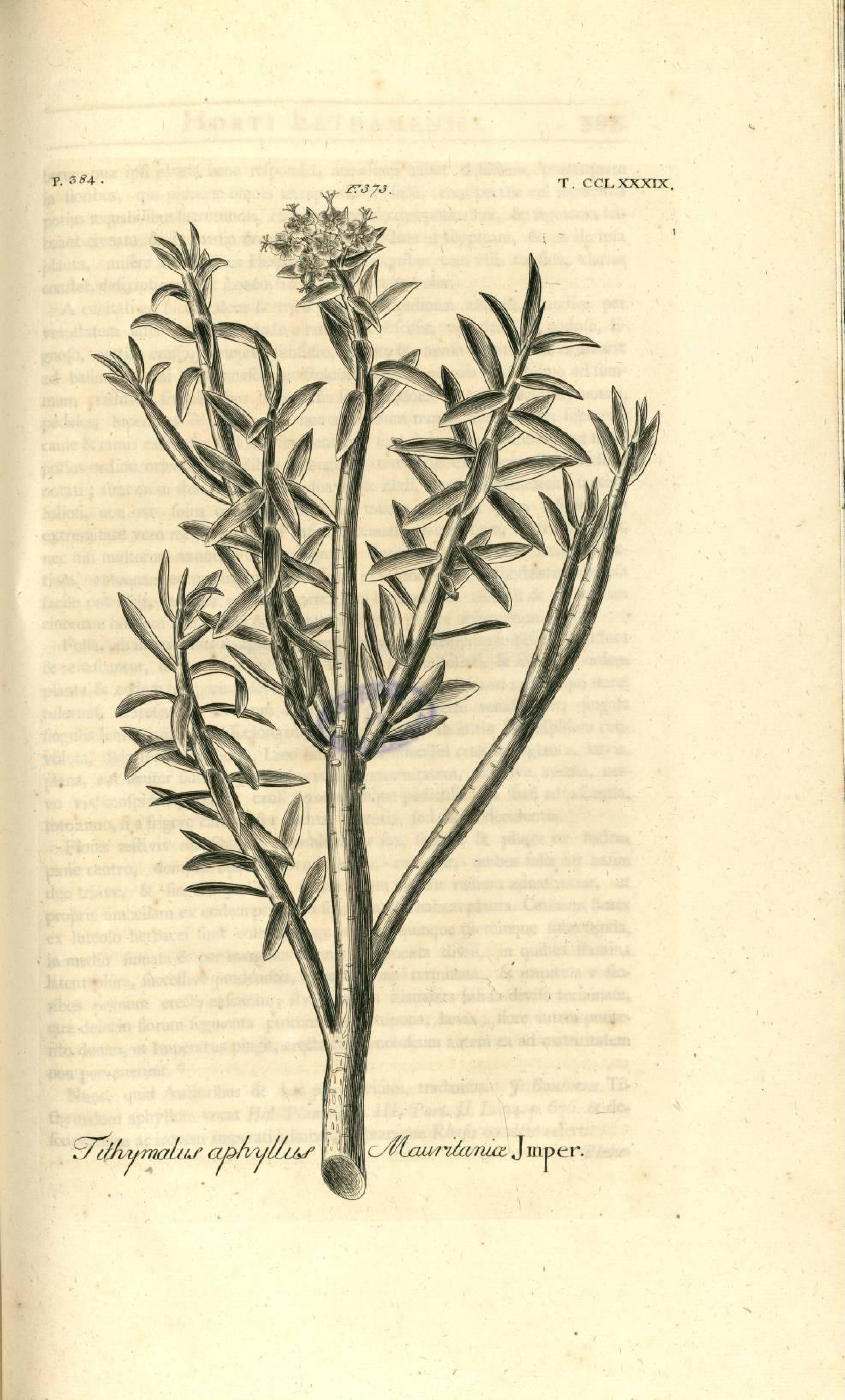 no full size  illustration available (3a)