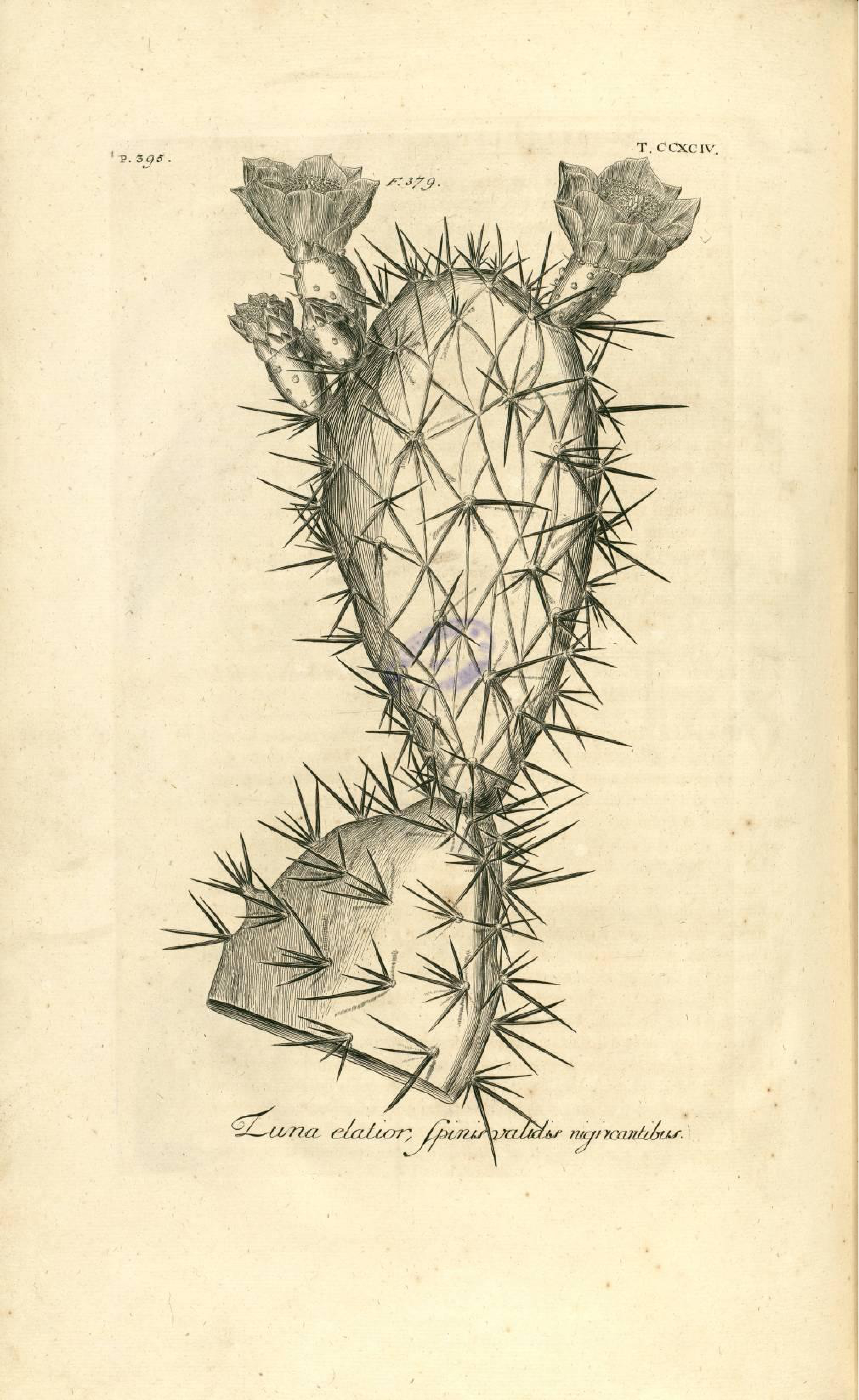 no full size  illustration available (3a)