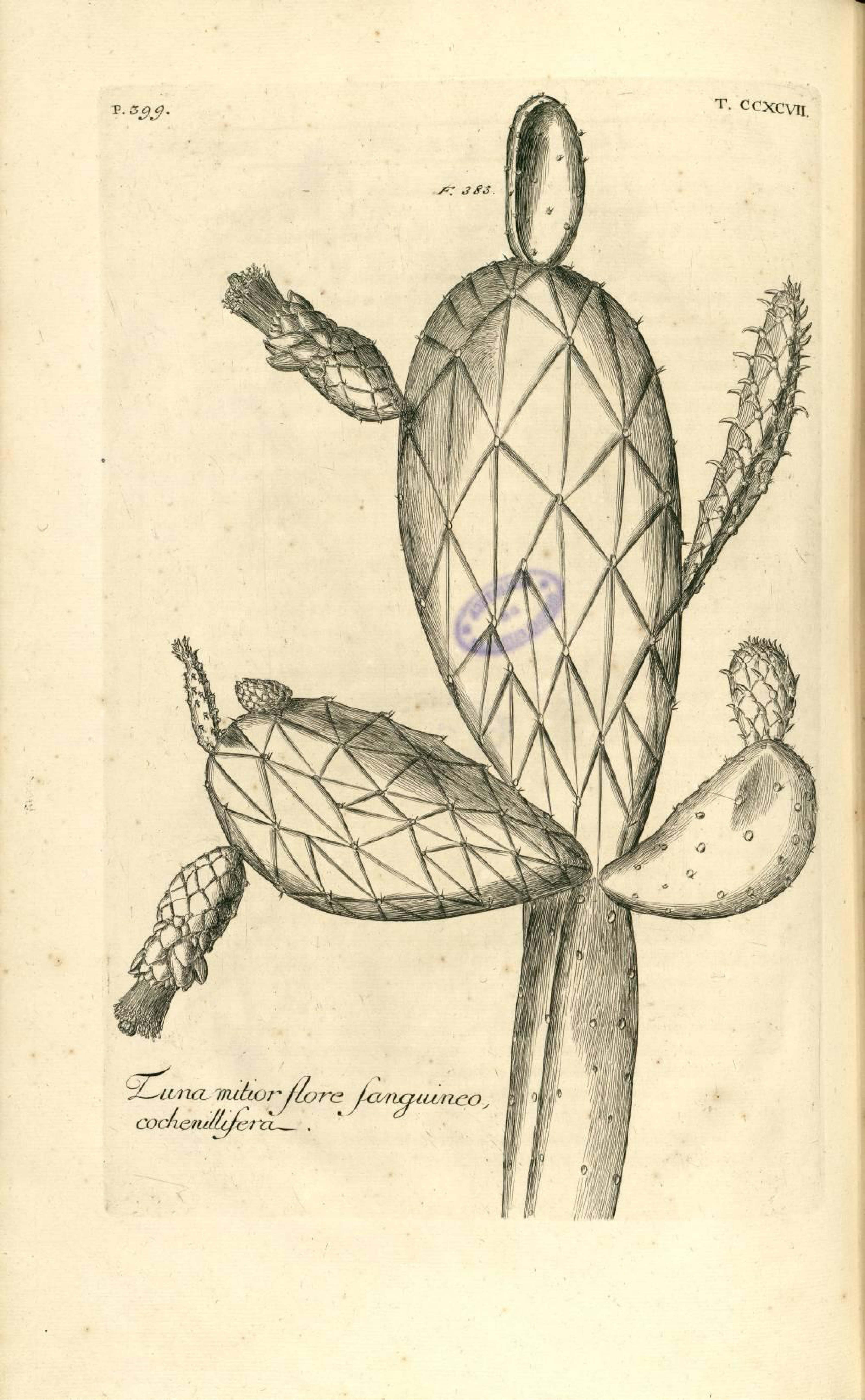 no full size  illustration available (3a)