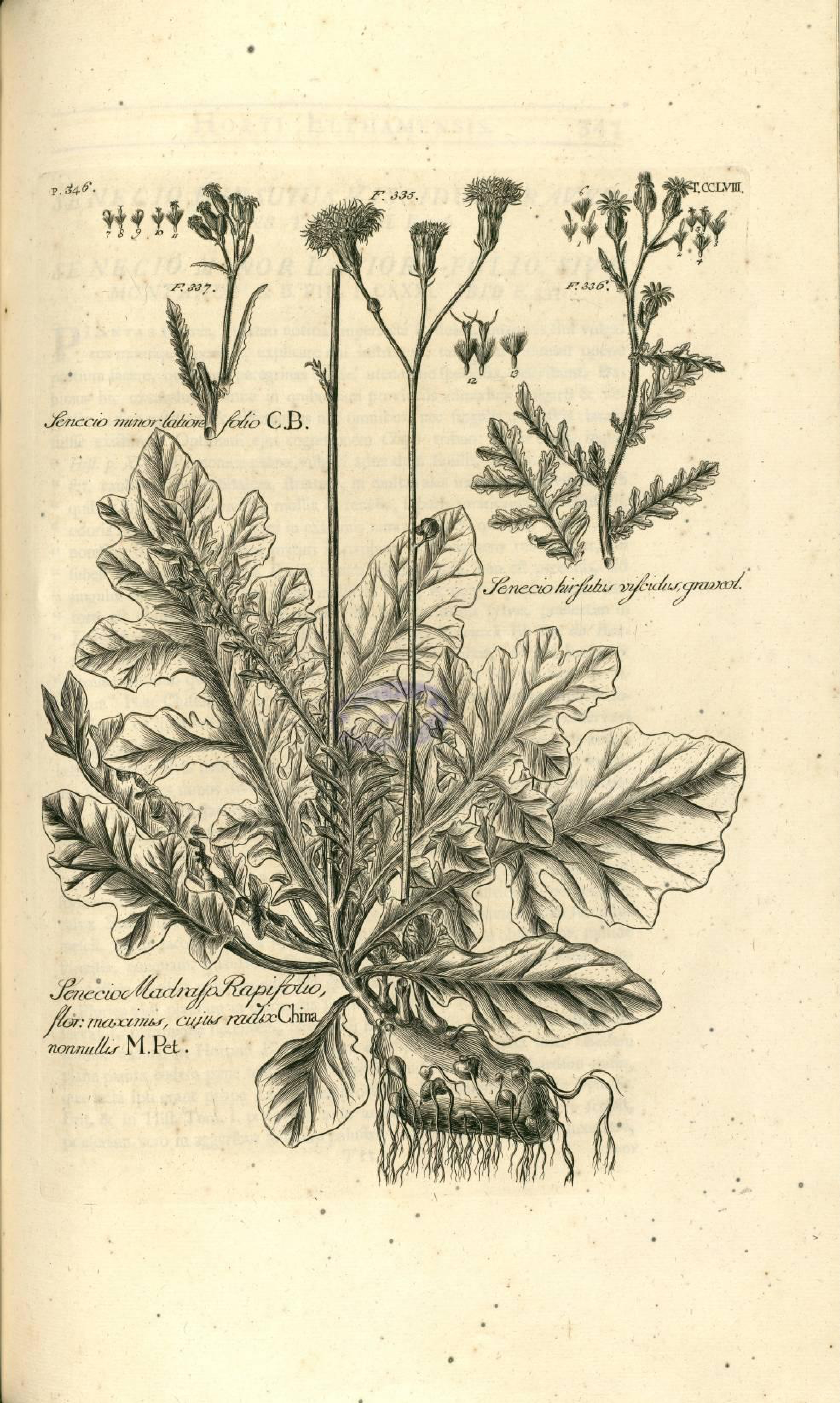 no full size  illustration available (3a)