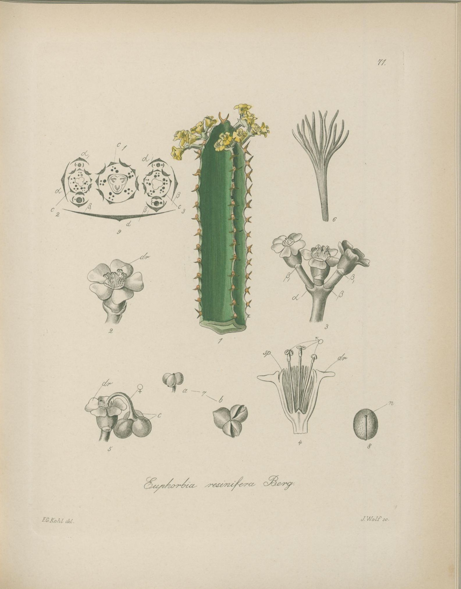 no full size  illustration available (3a)