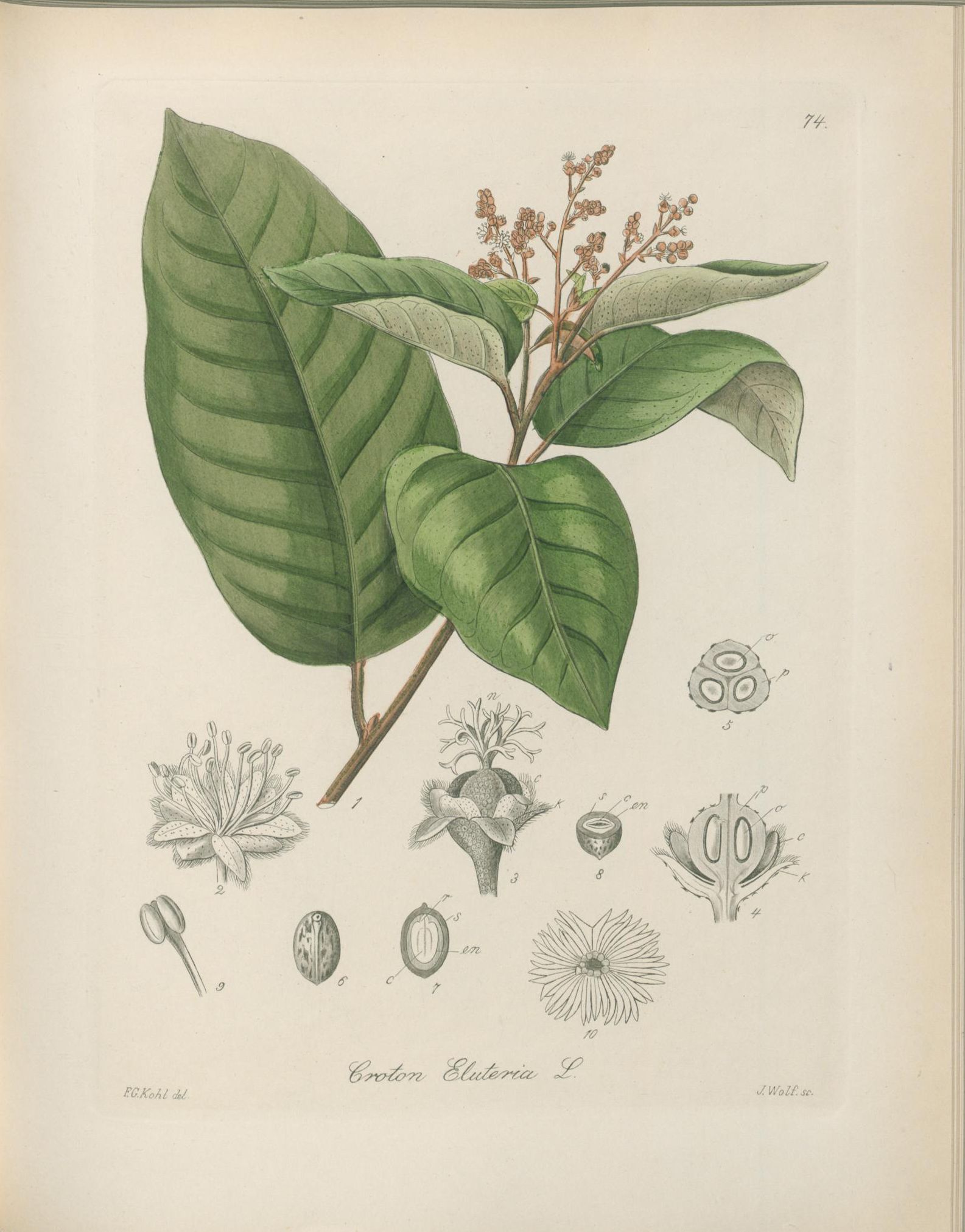 no full size  illustration available (3a)