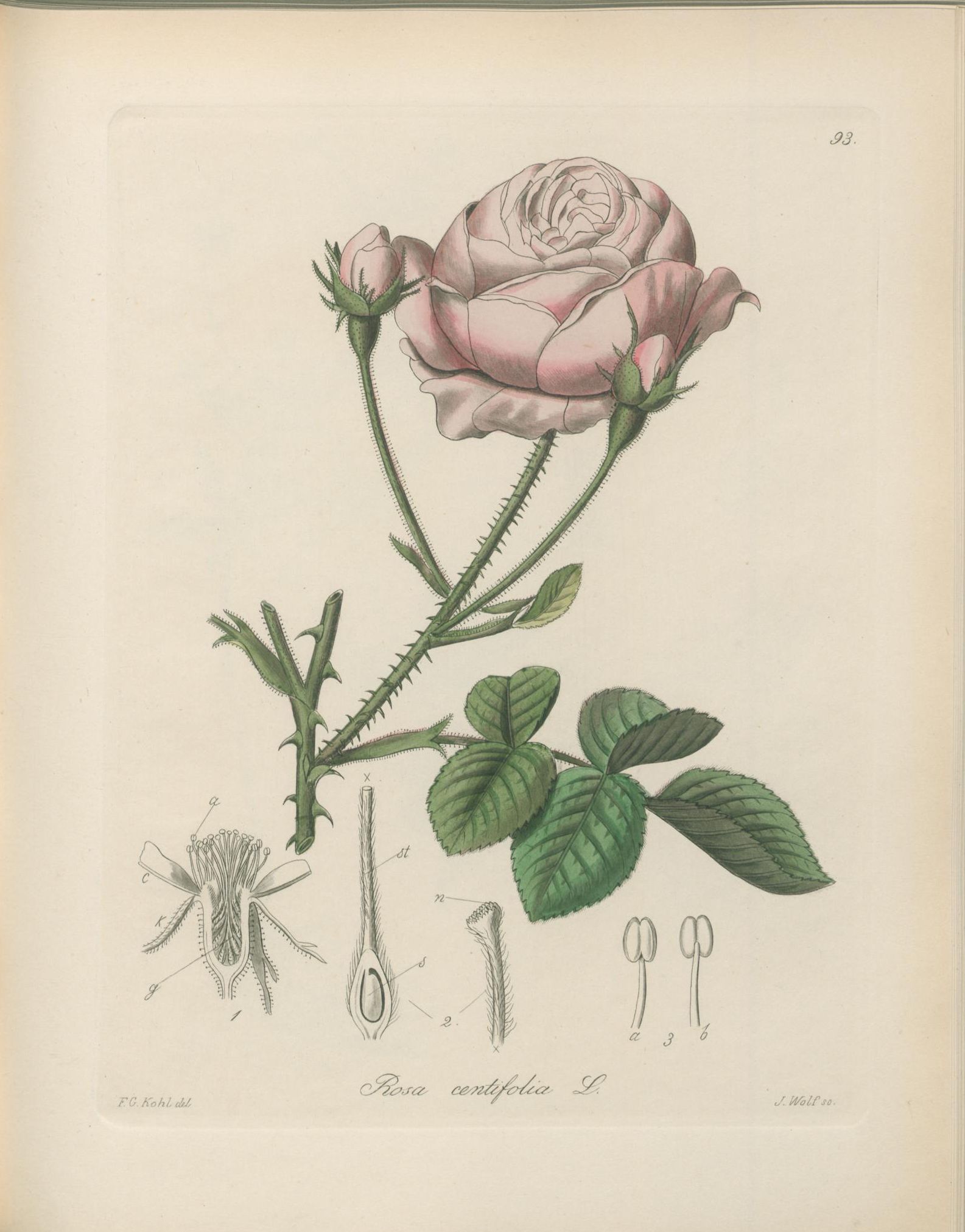 no full size  illustration available (3a)