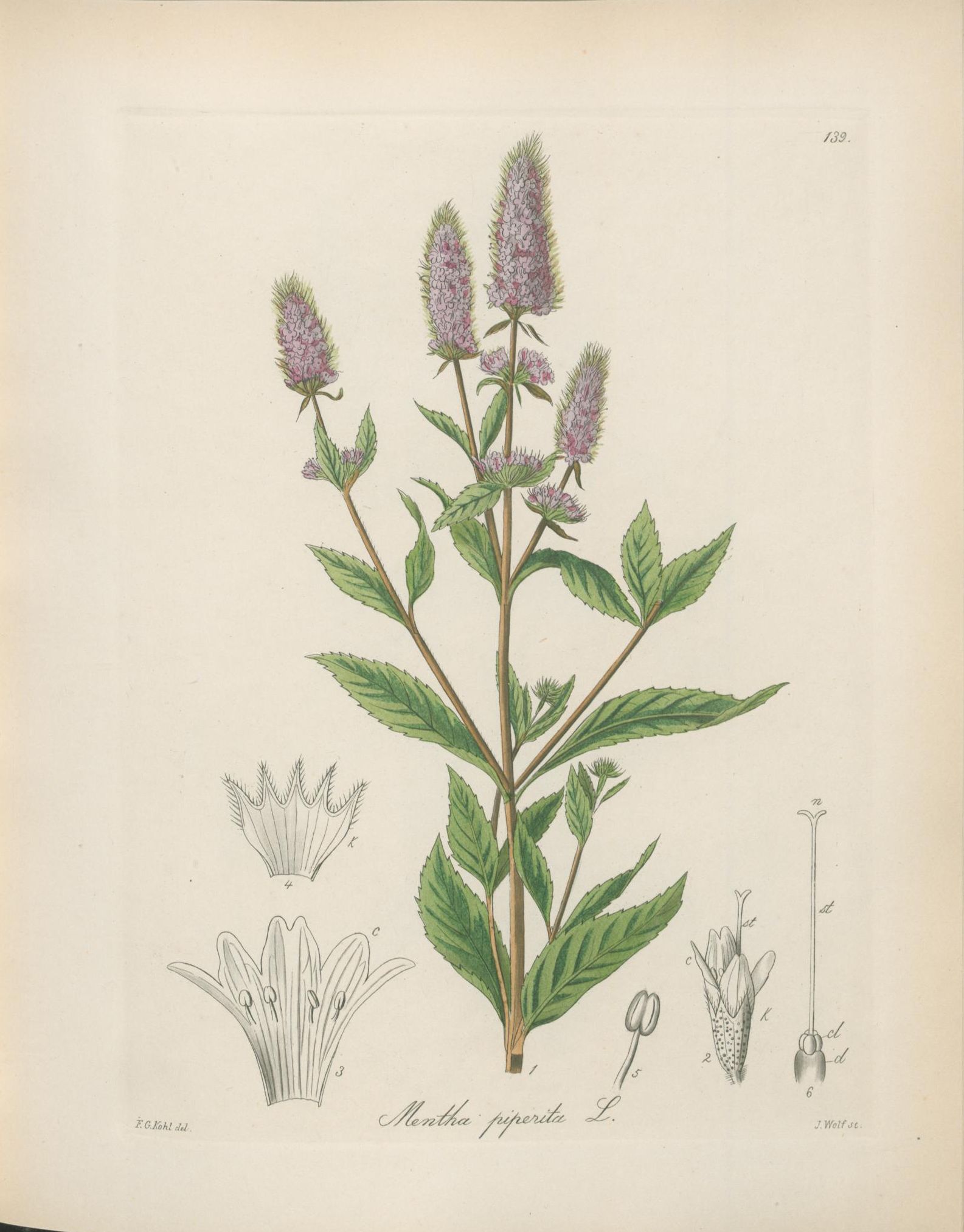 no full size  illustration available (3a)