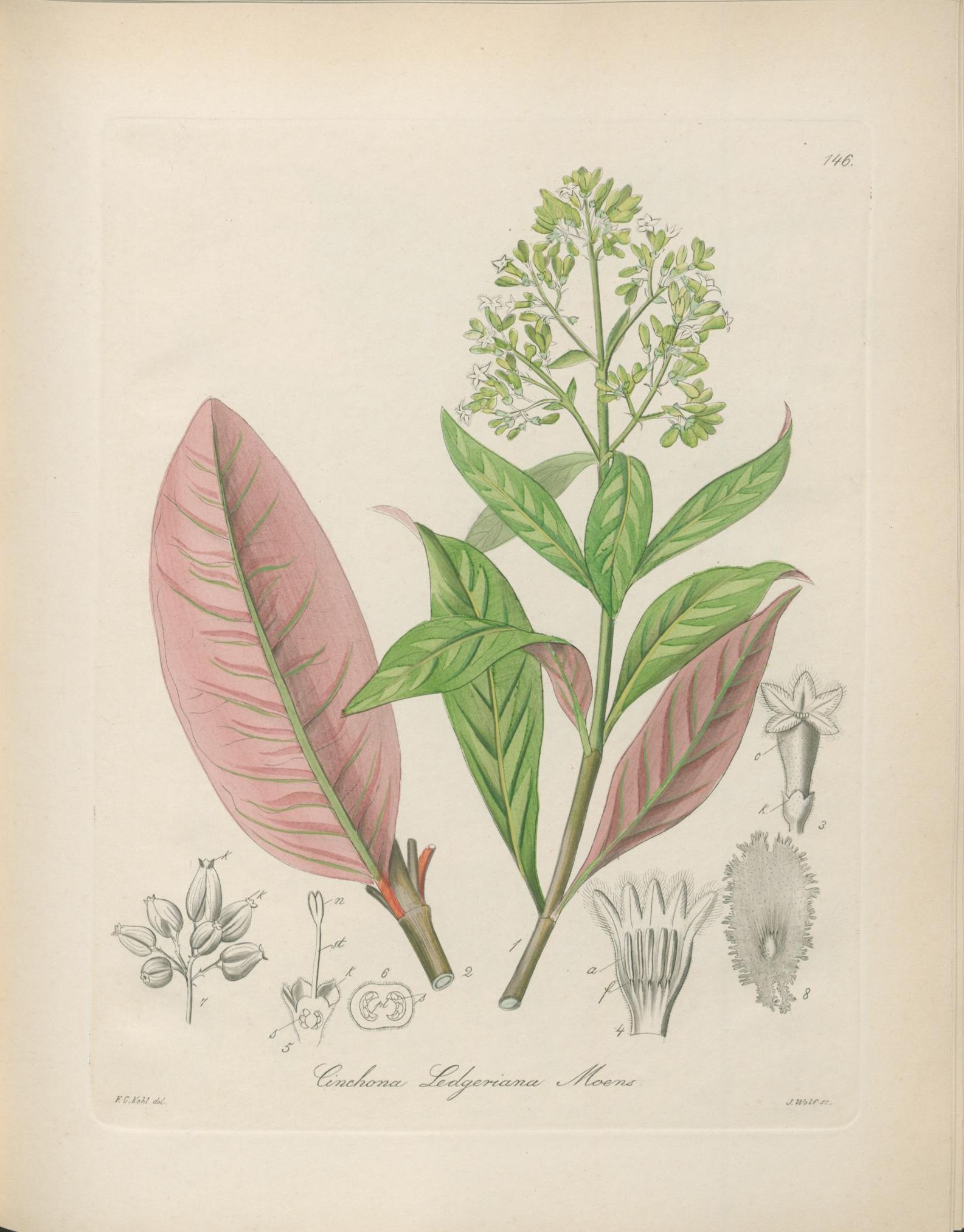 no full size  illustration available (3a)