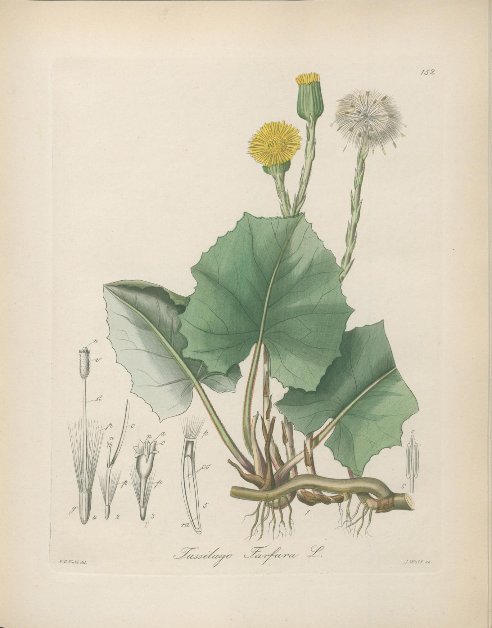 no full size  illustration available (3a)