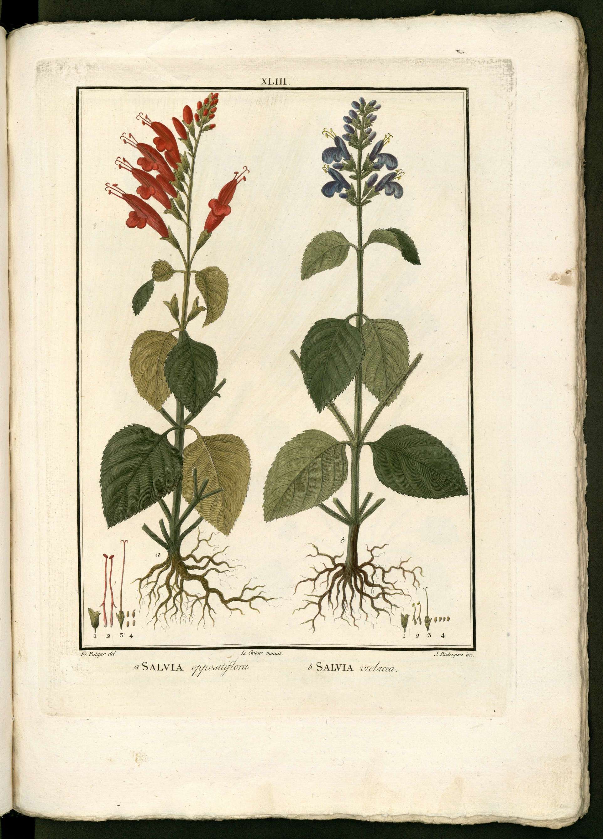 no full size  illustration available (3a)