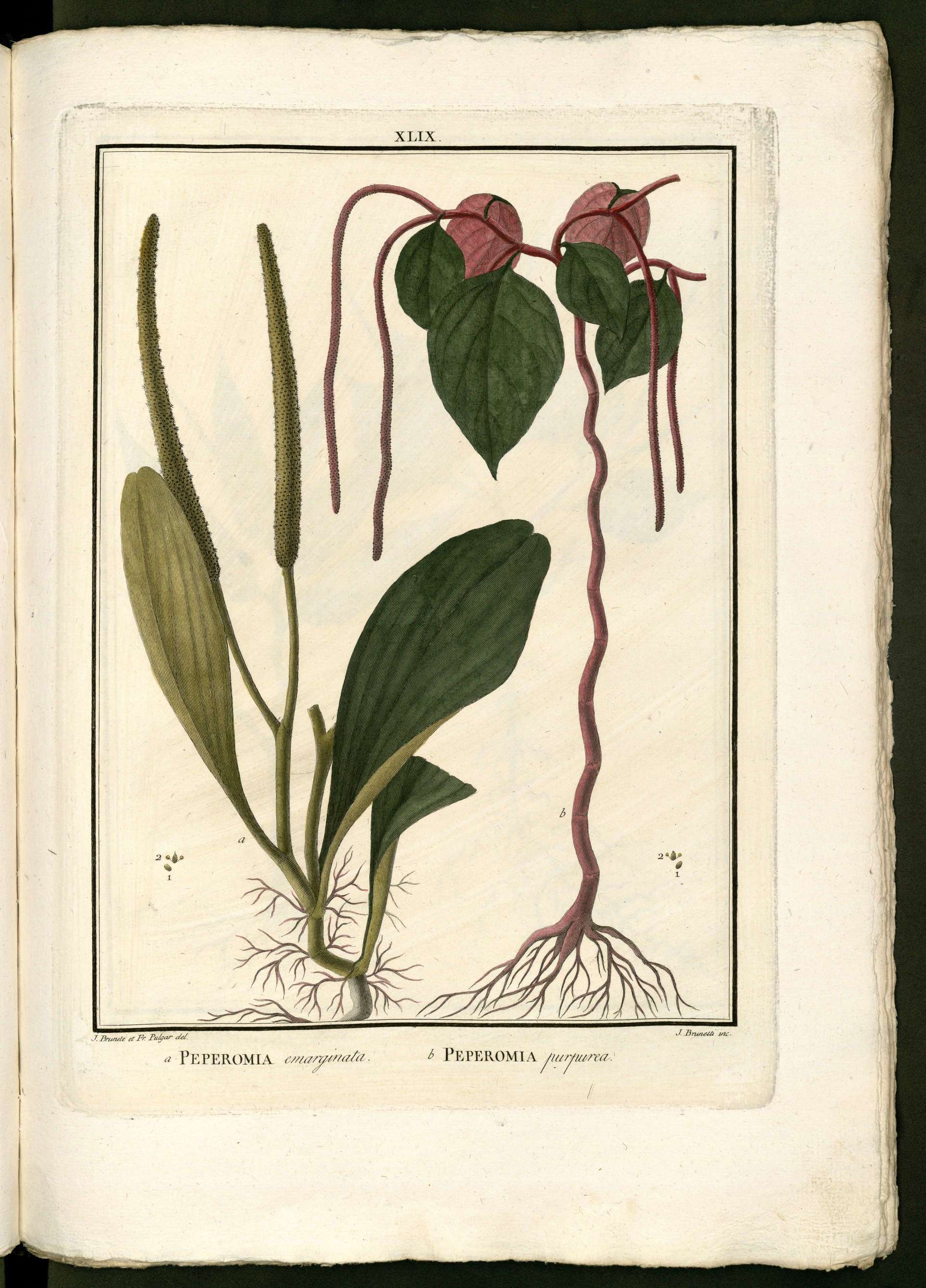 no full size  illustration available (3a)