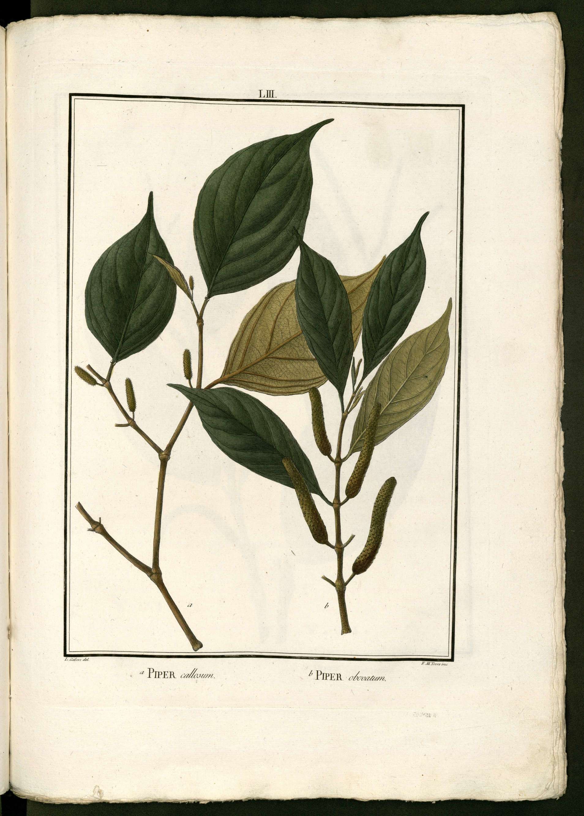 no full size  illustration available (3a)