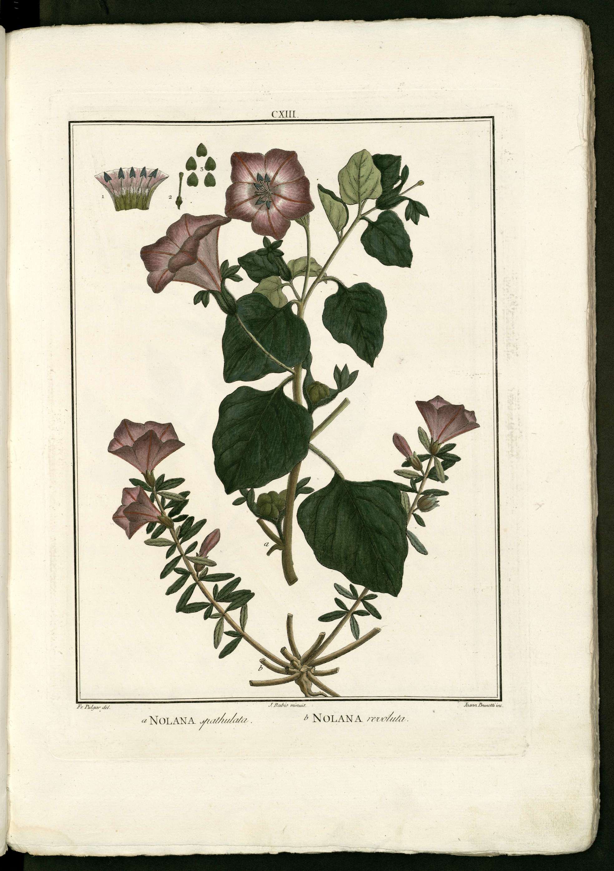 no full size  illustration available (3a)