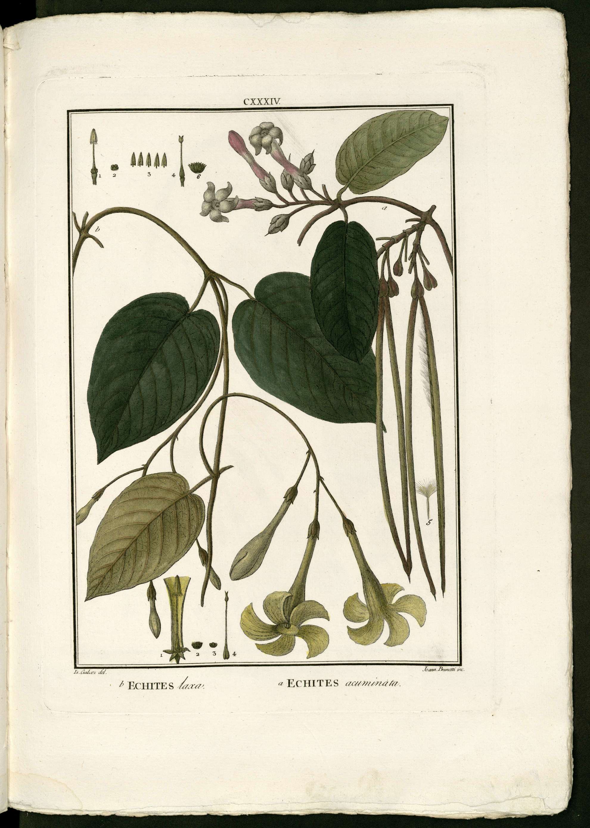 no full size  illustration available (3a)