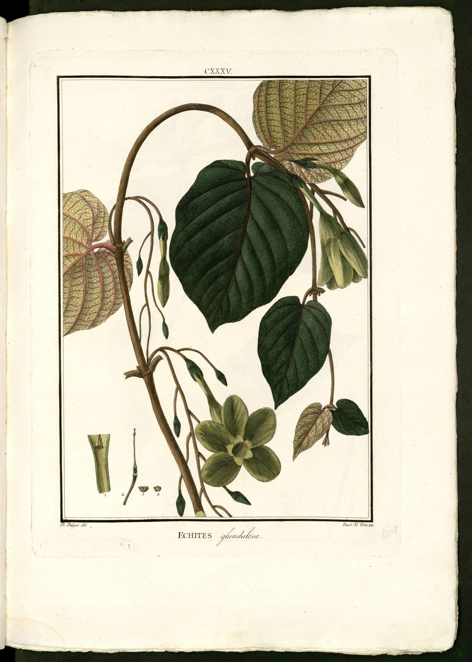 no full size  illustration available (3a)