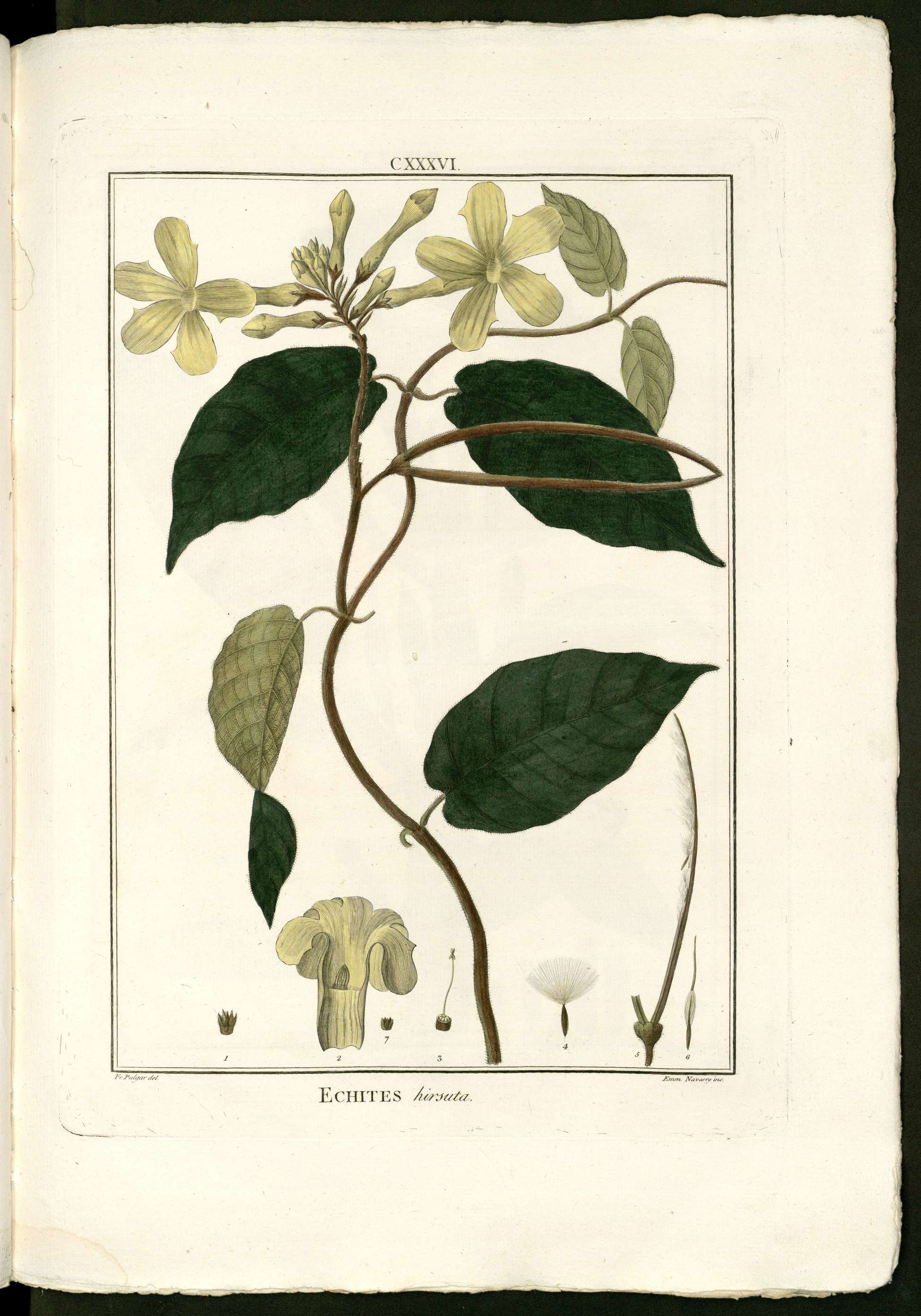 no full size  illustration available (3a)