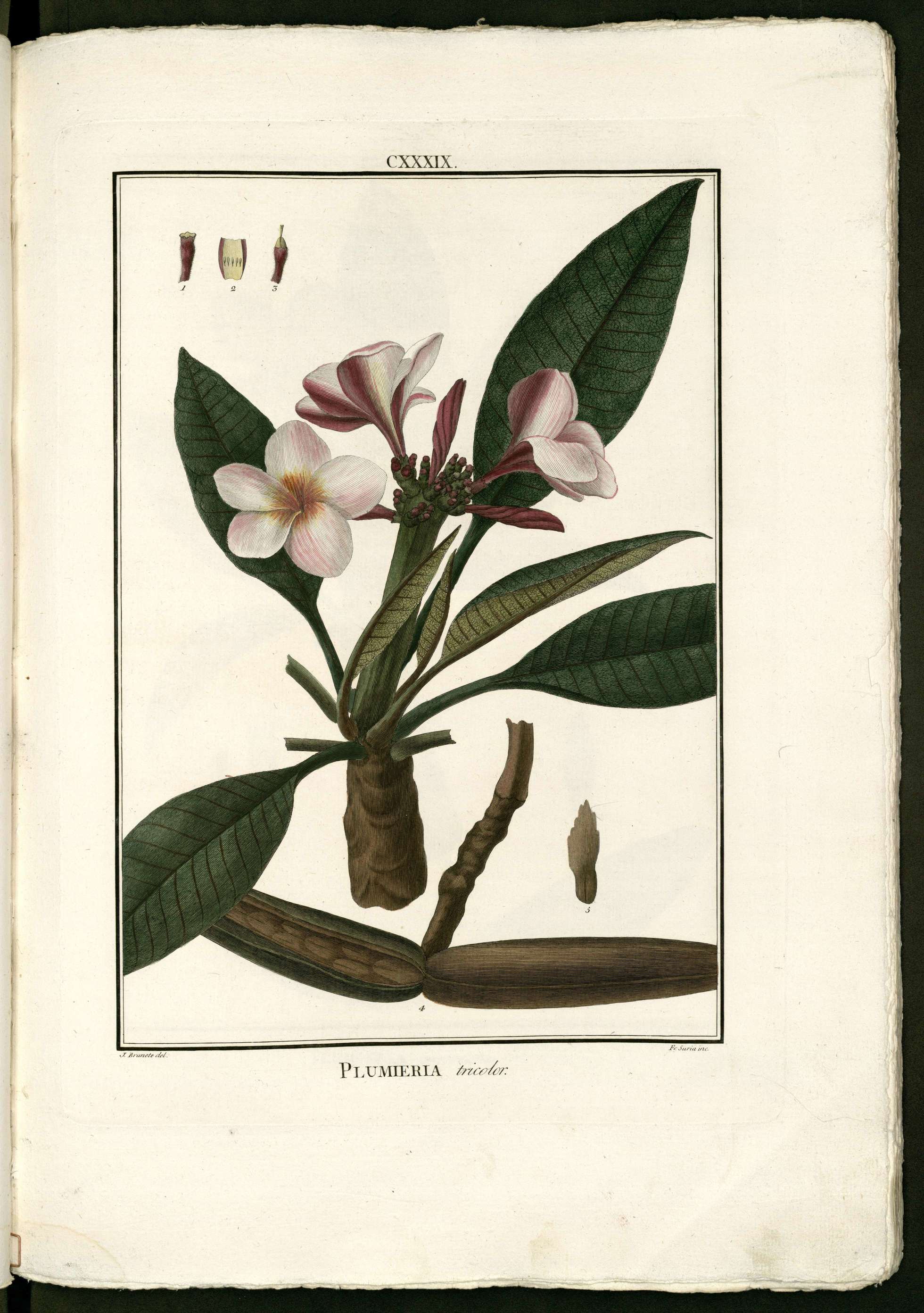 no full size  illustration available (3a)