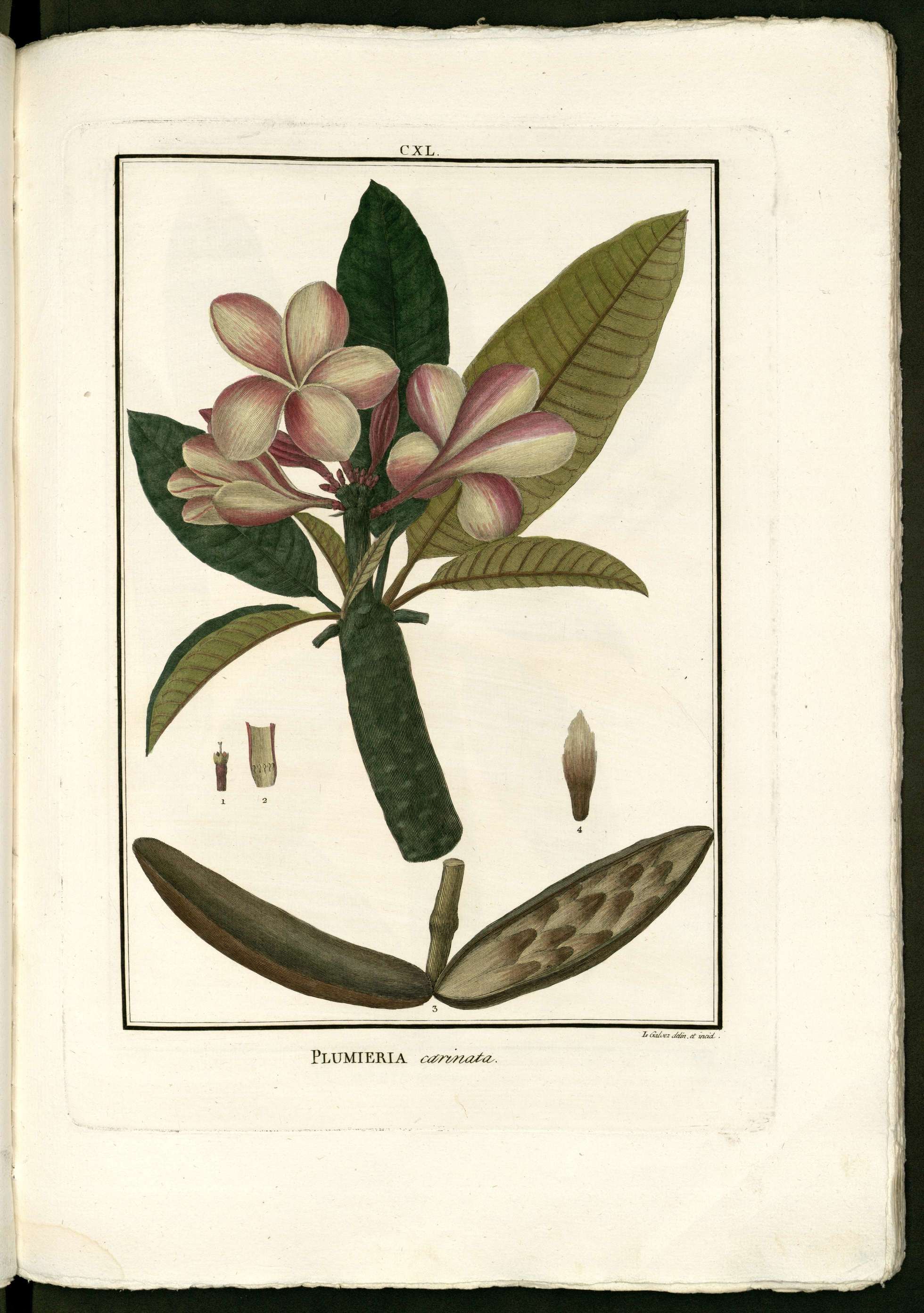 no full size  illustration available (3a)