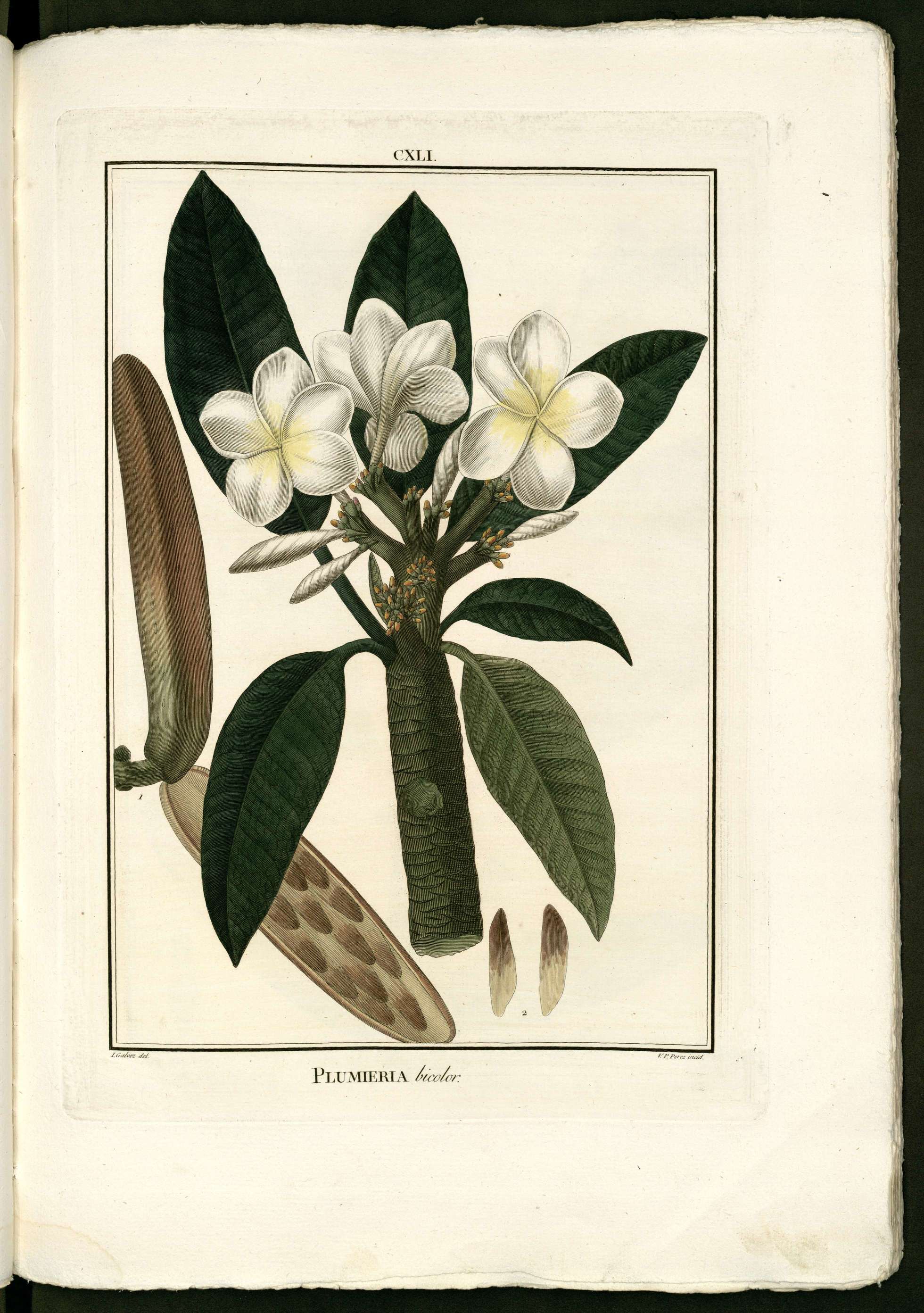 no full size  illustration available (3a)