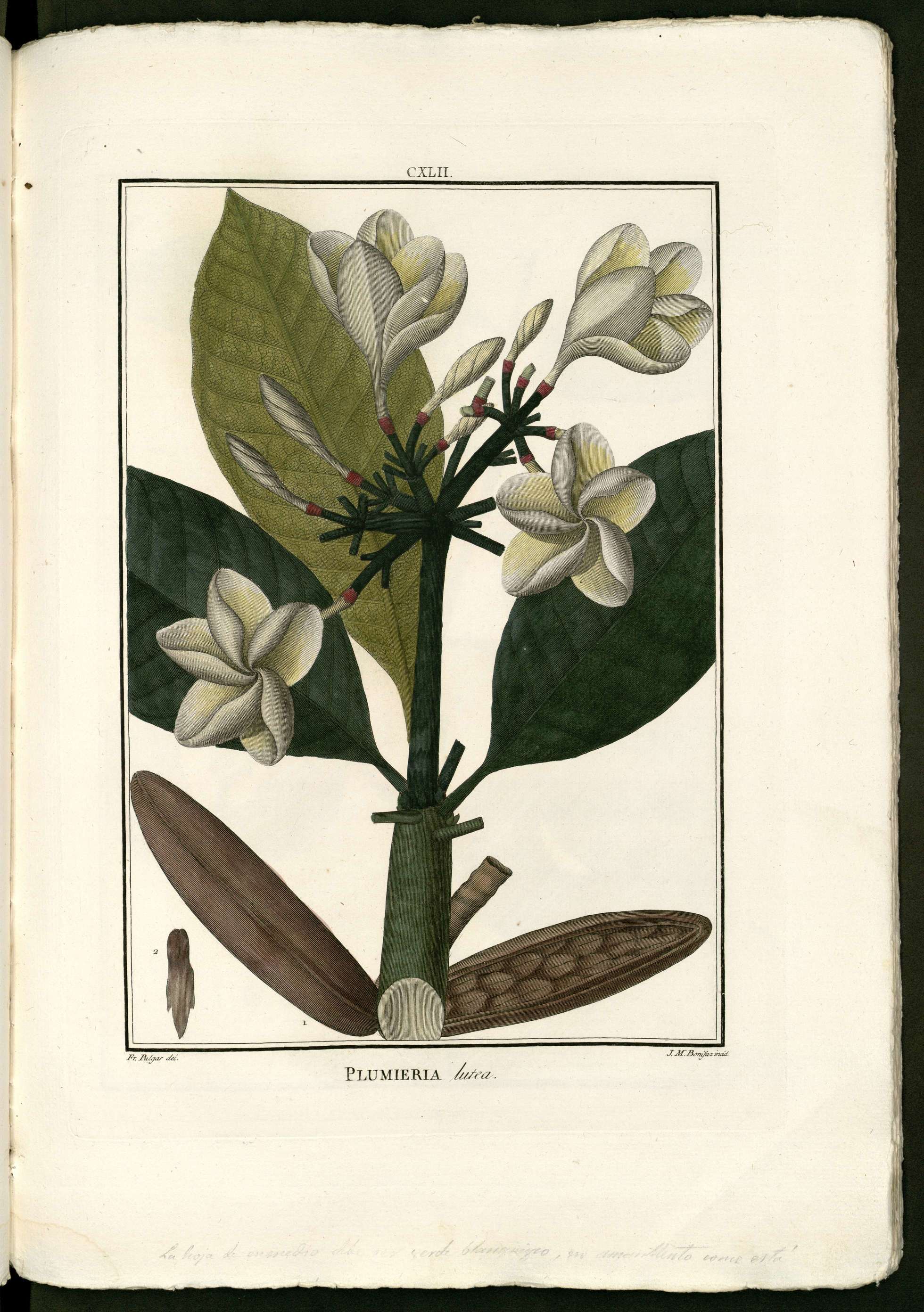 no full size  illustration available (3a)