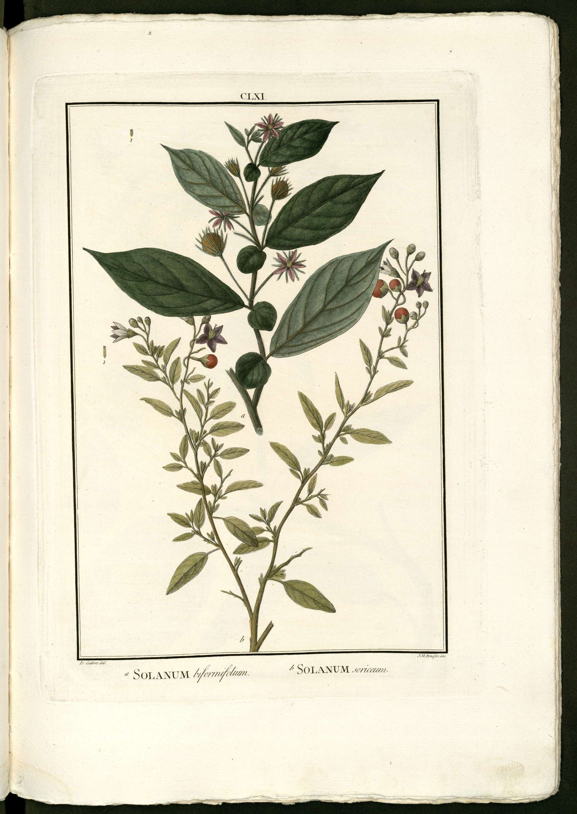 no full size  illustration available (3a)