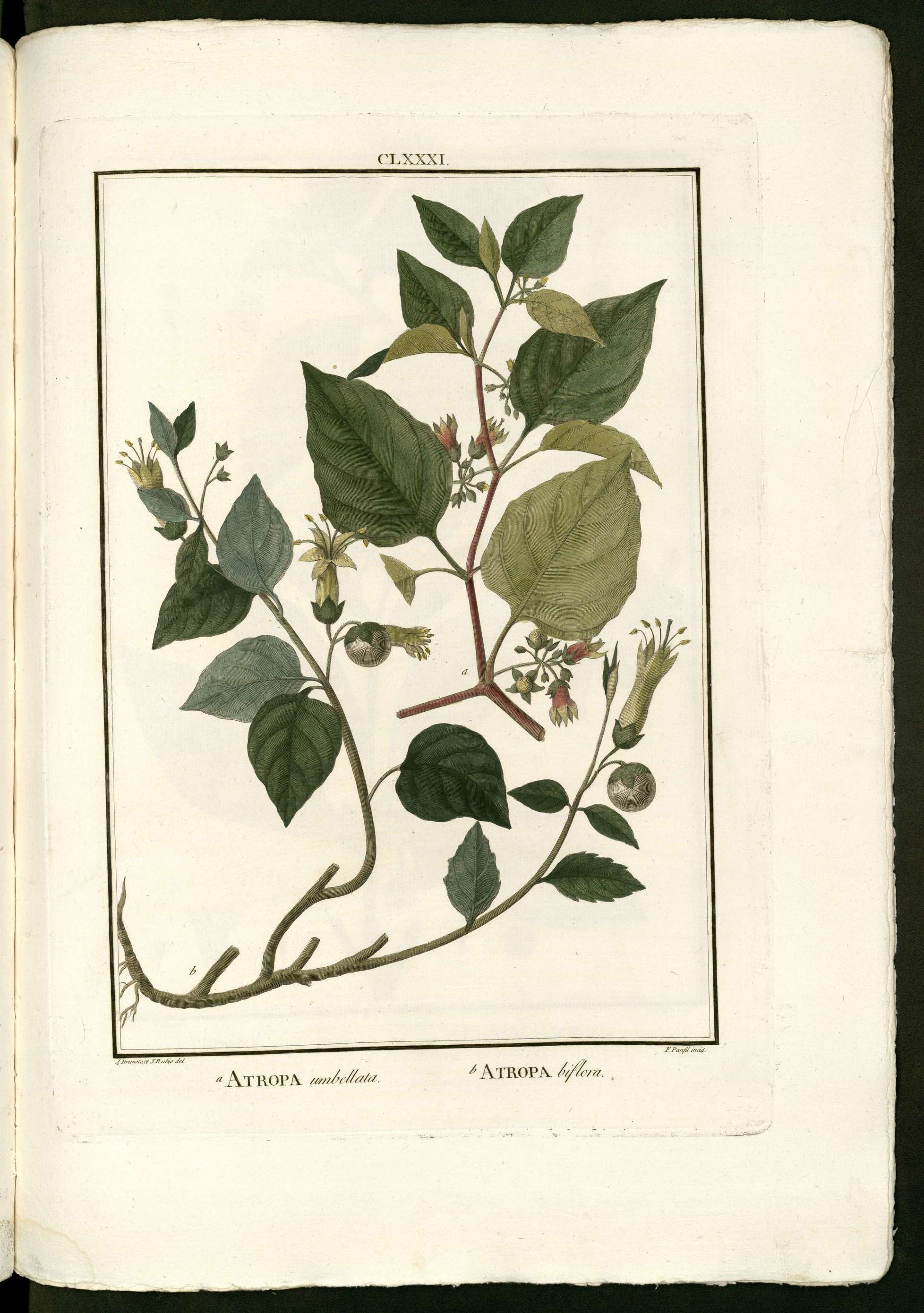 no full size  illustration available (3a)