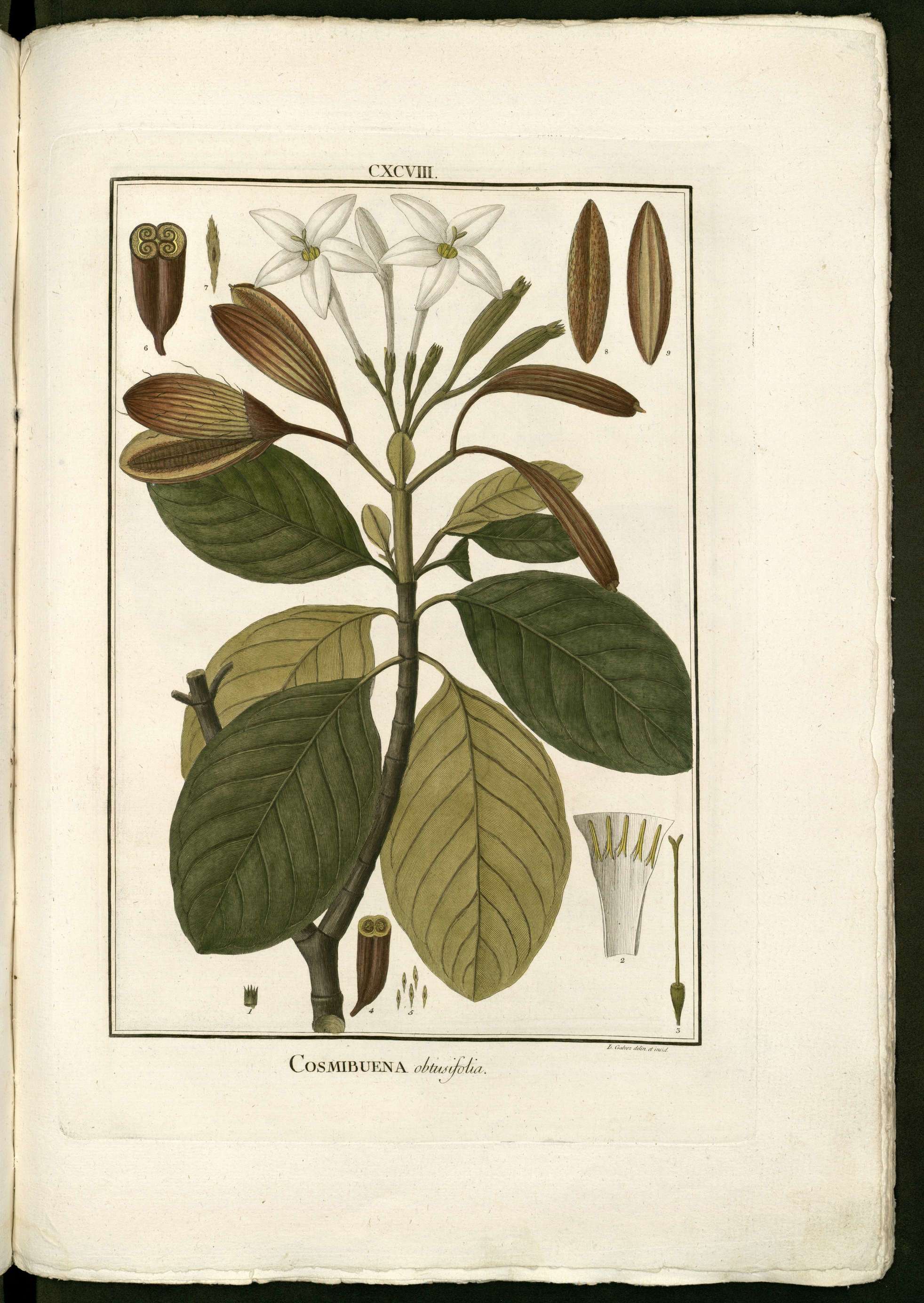 no full size  illustration available (3a)