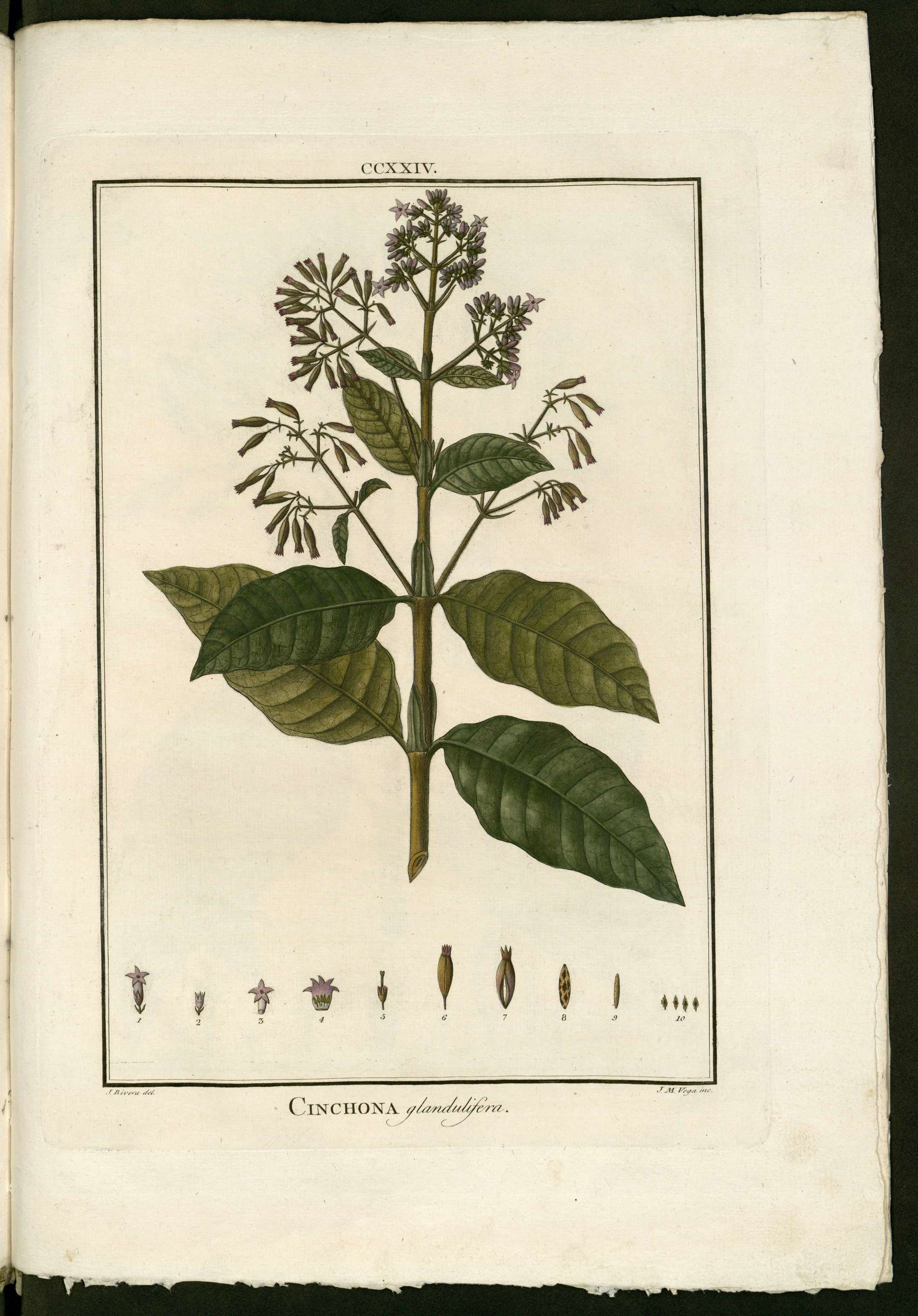 no full size  illustration available (3a)