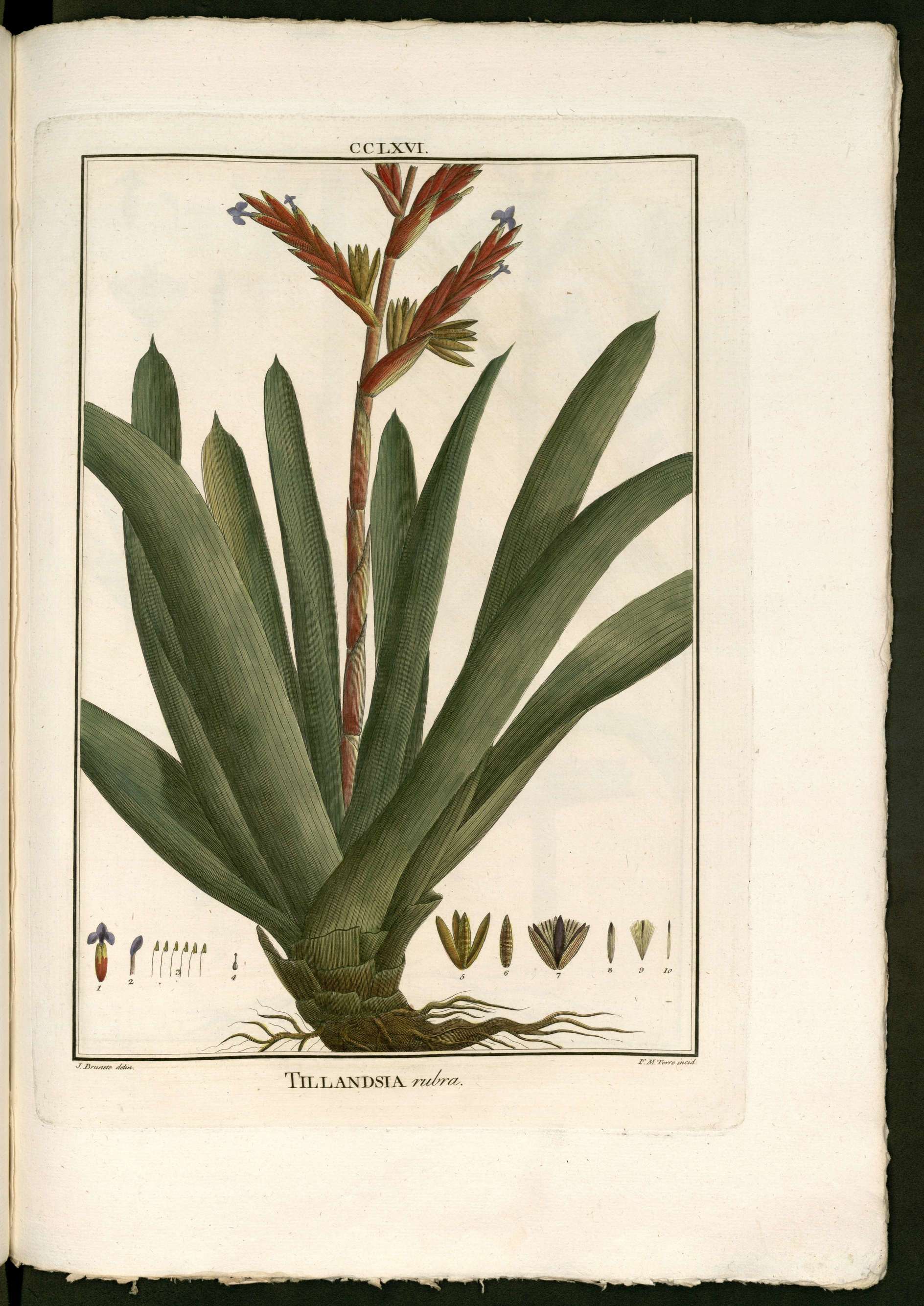 no full size  illustration available (3a)