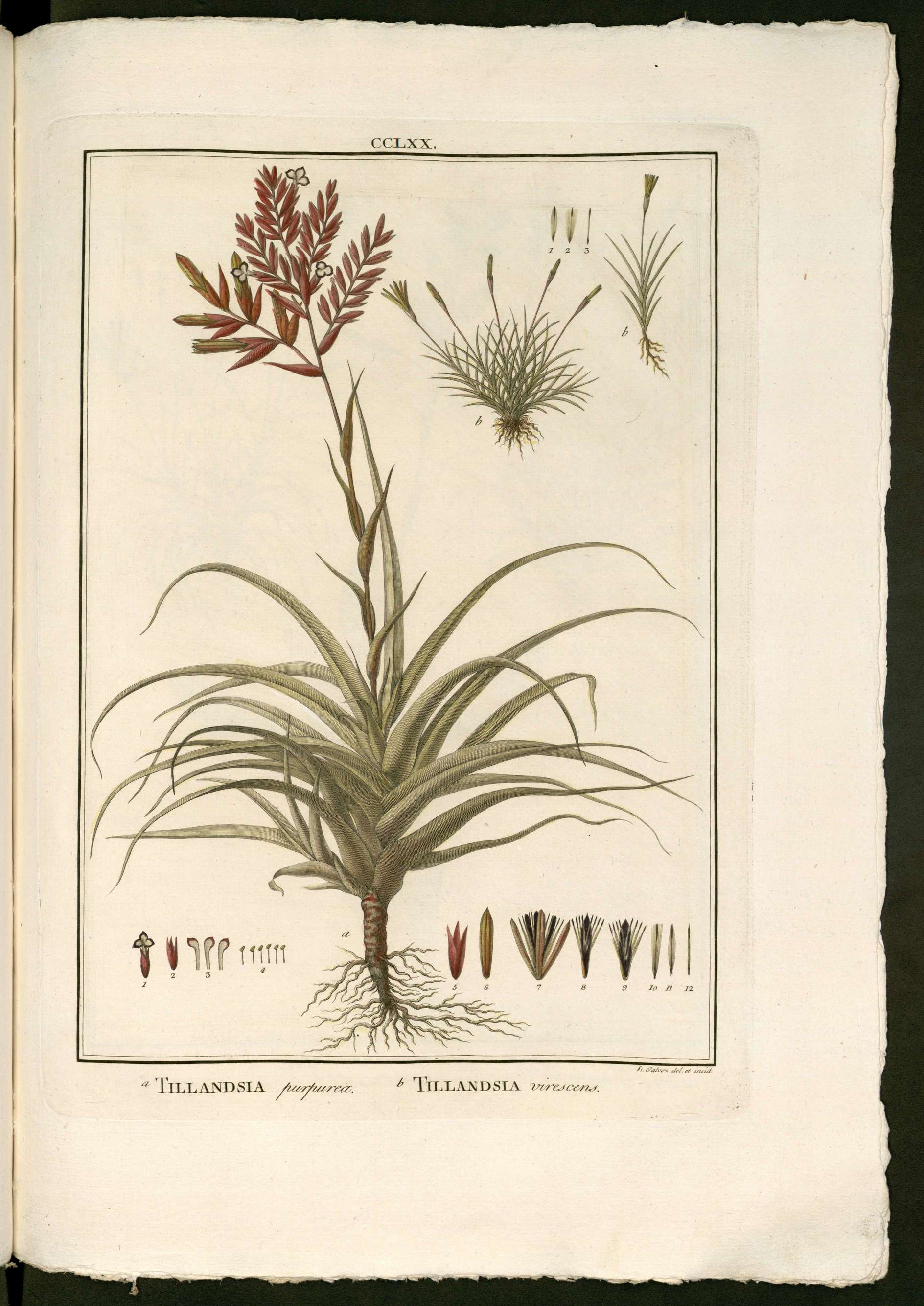 no full size  illustration available (3a)