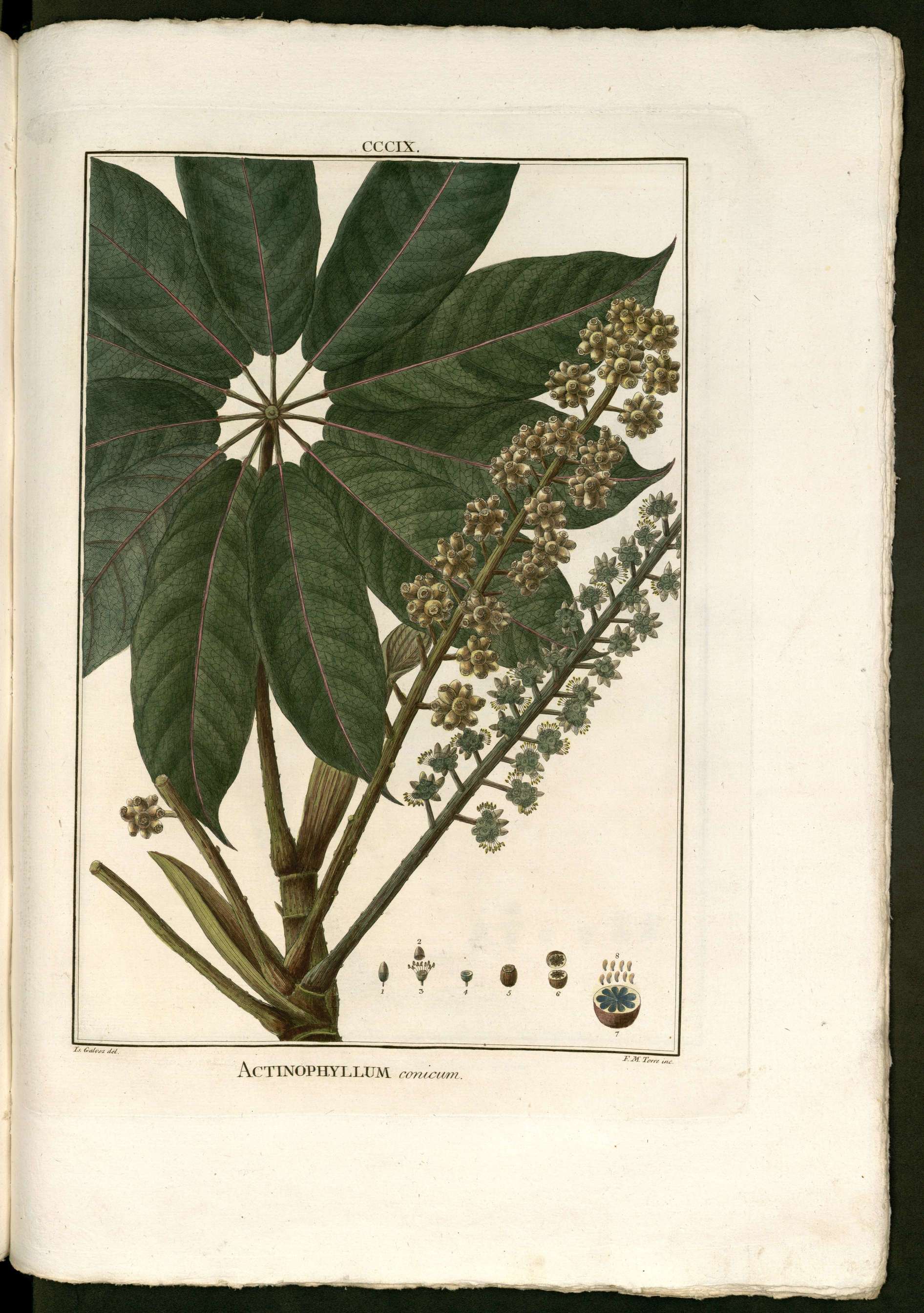 no full size  illustration available (3a)