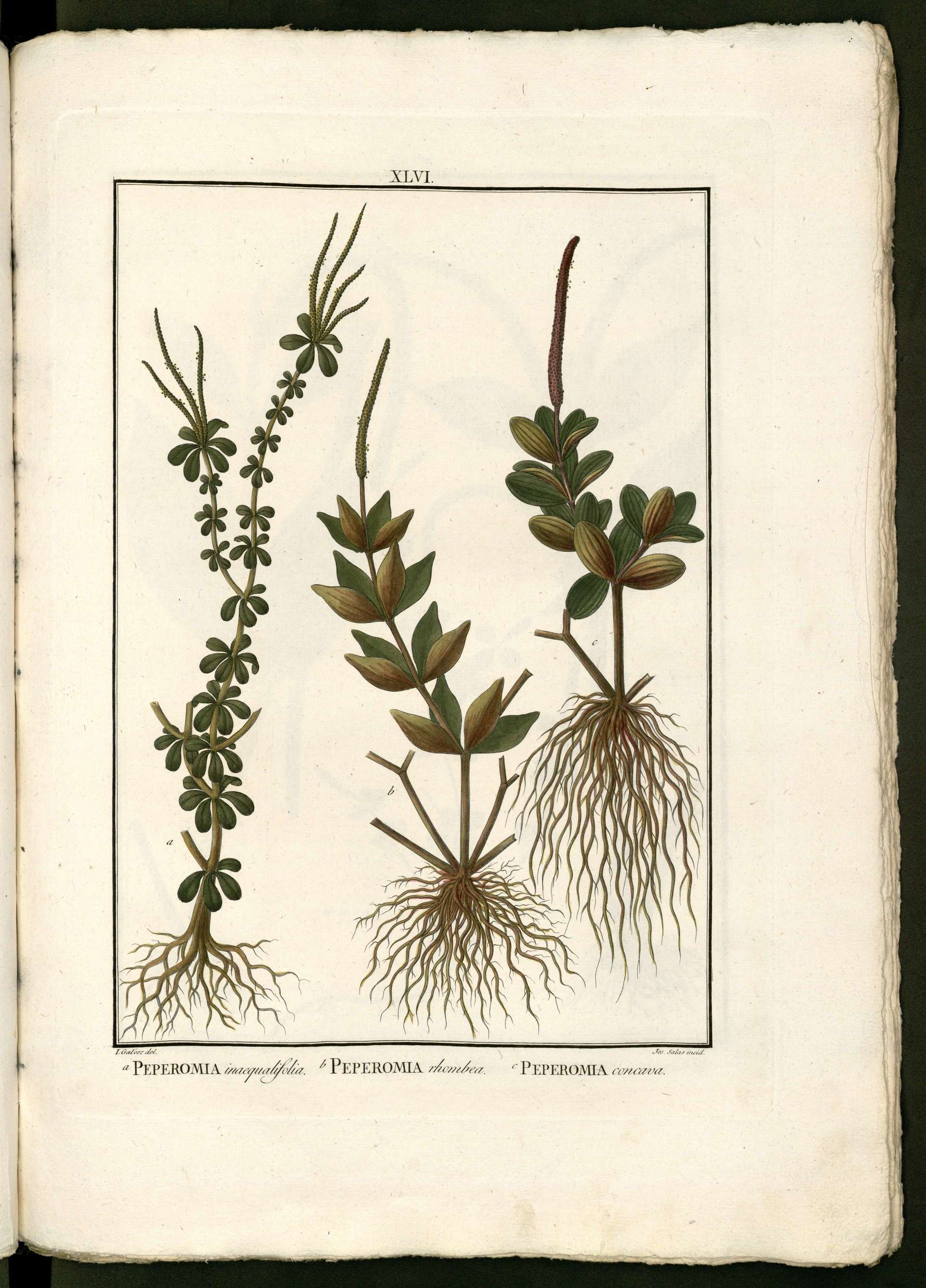 no full size  illustration available (3a)