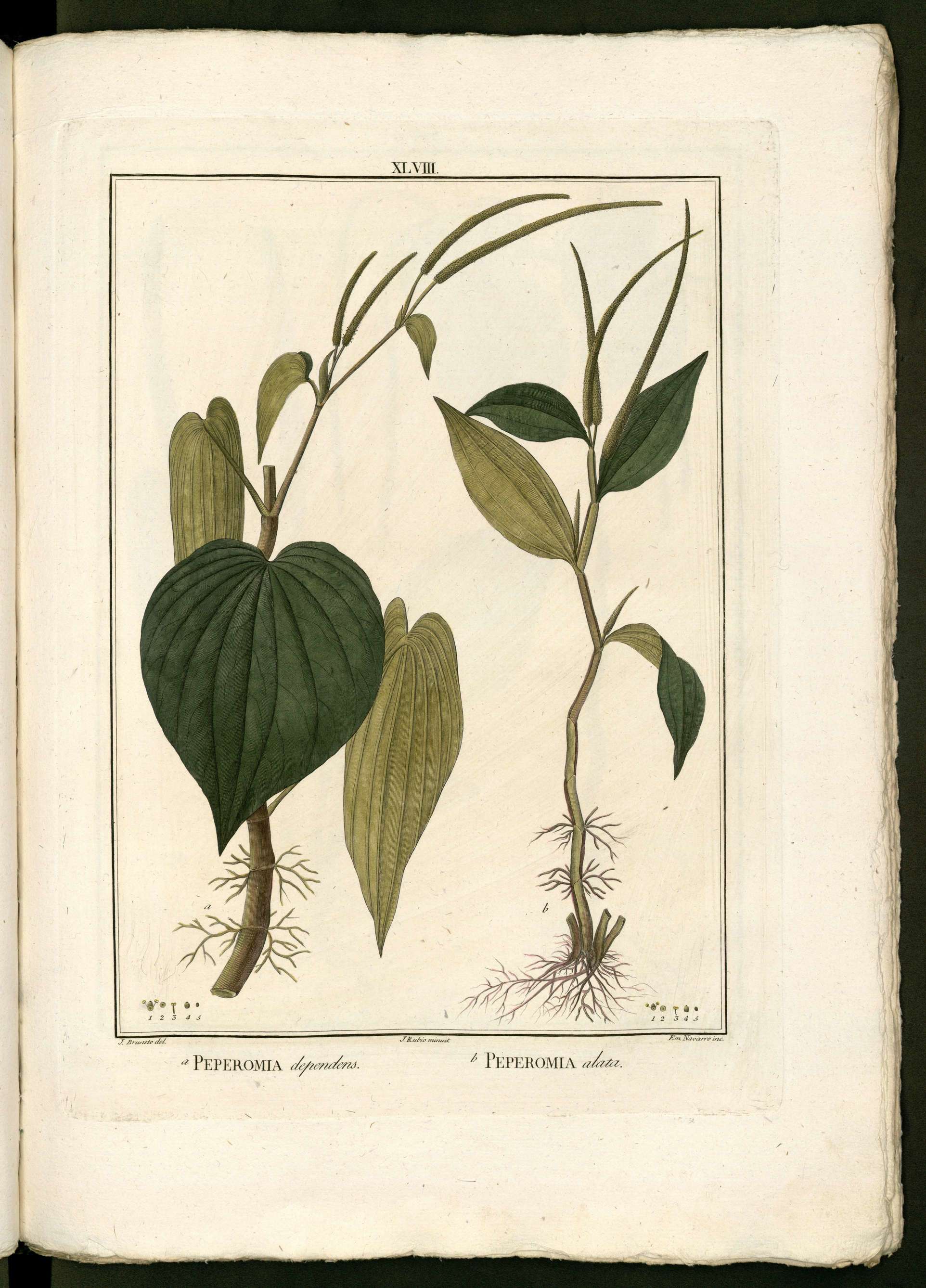 no full size  illustration available (3a)