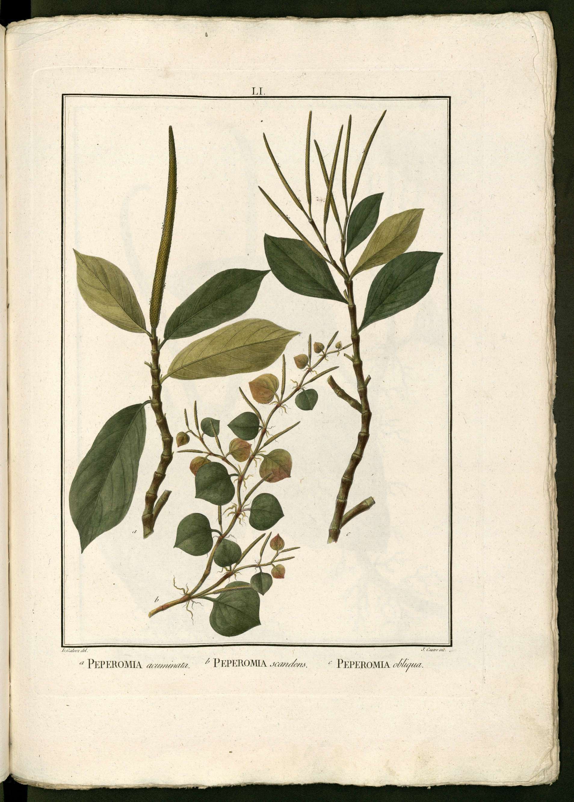 no full size  illustration available (3a)