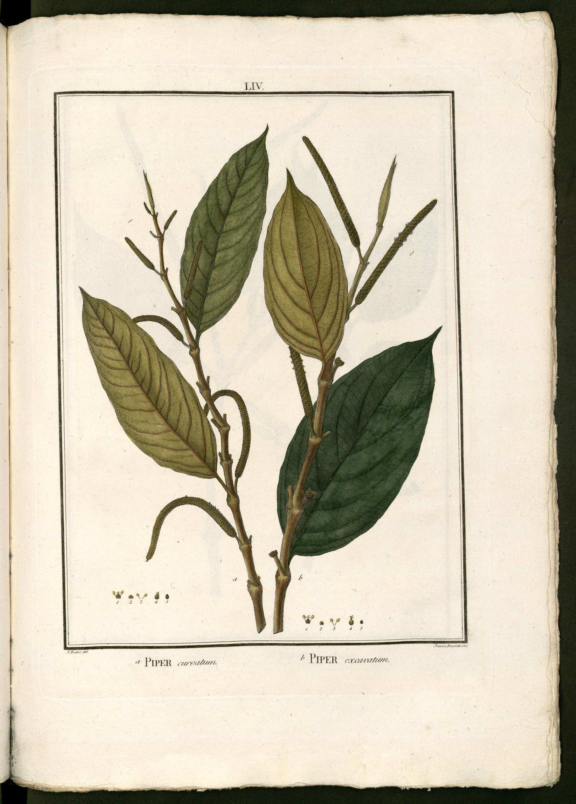 no full size  illustration available (3a)