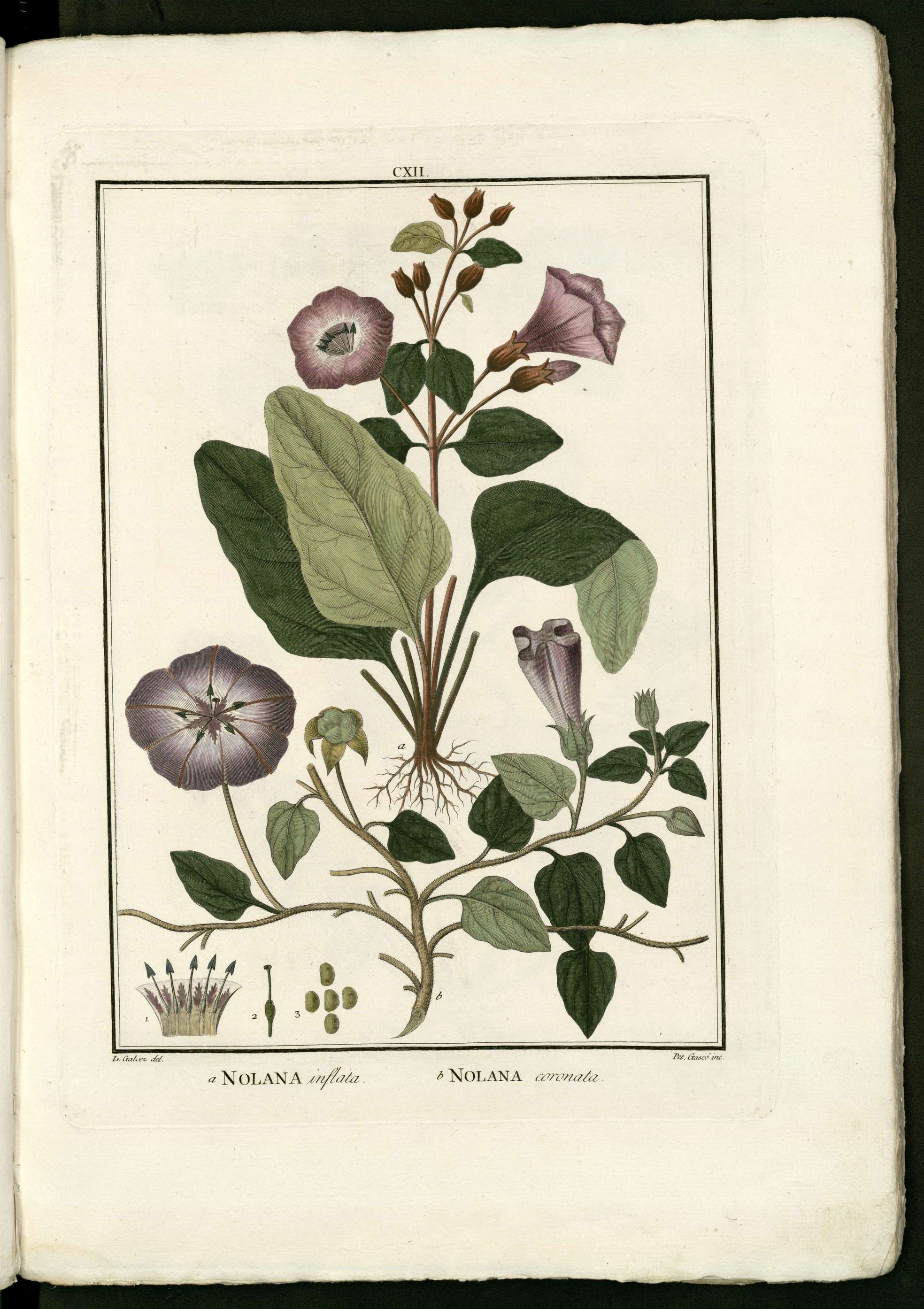 no full size  illustration available (3a)