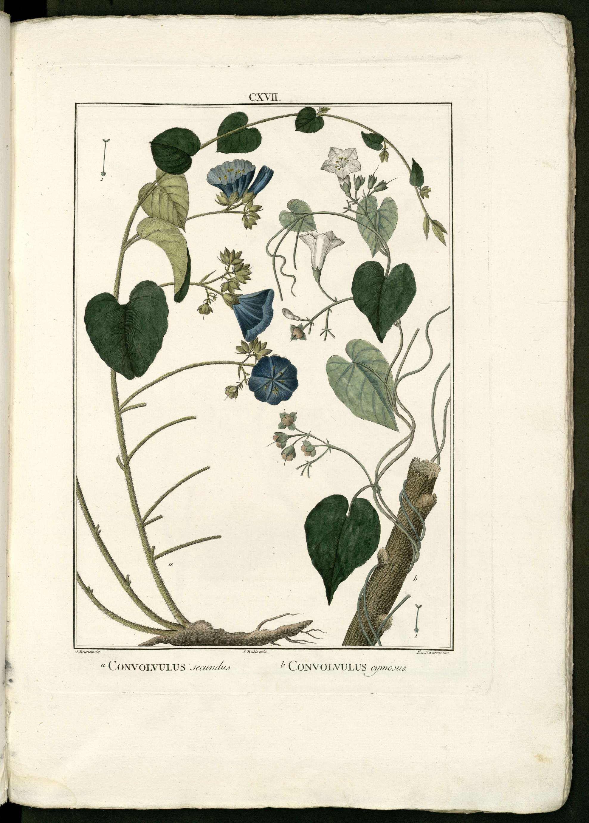 no full size  illustration available (3a)