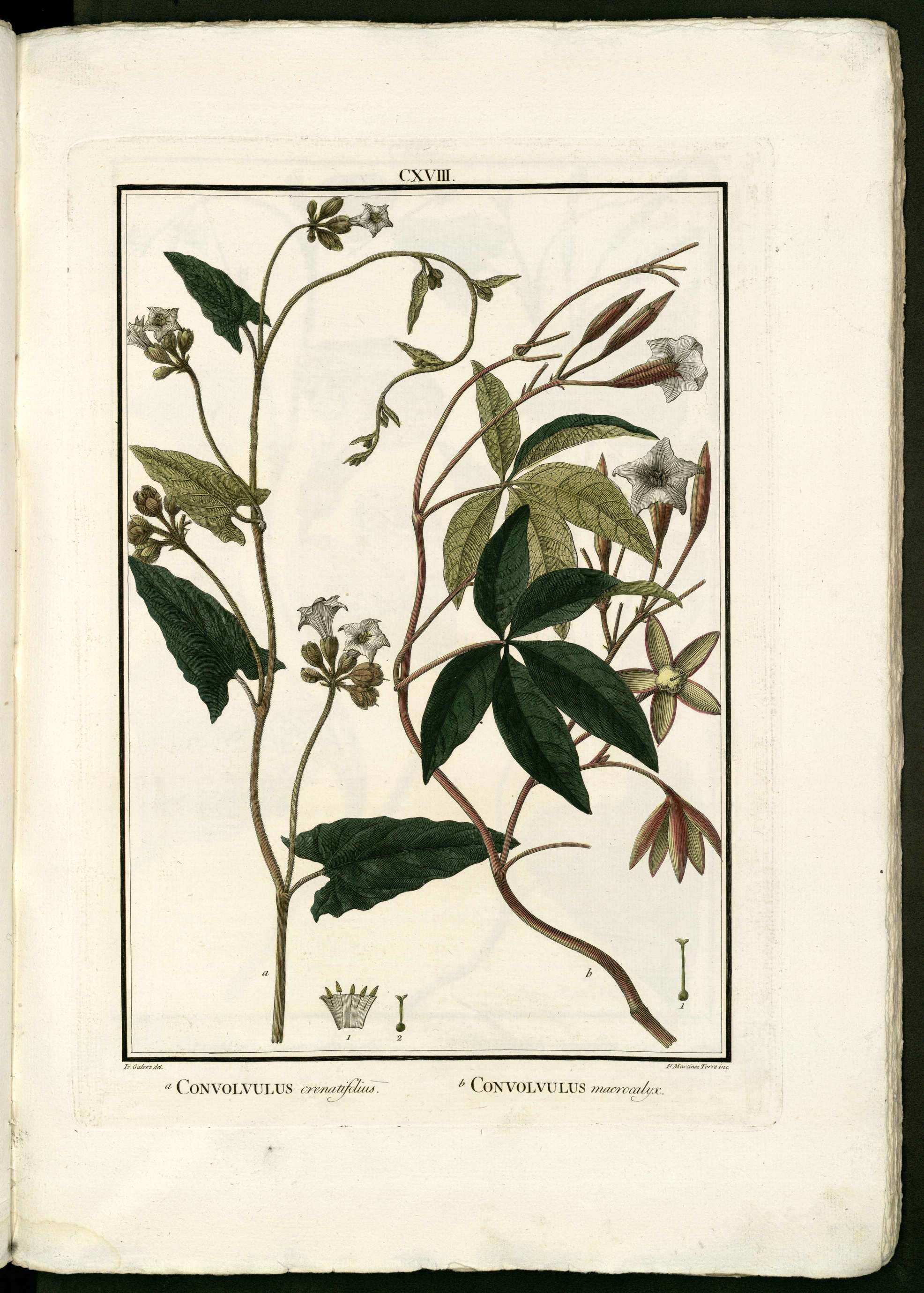 no full size  illustration available (3a)