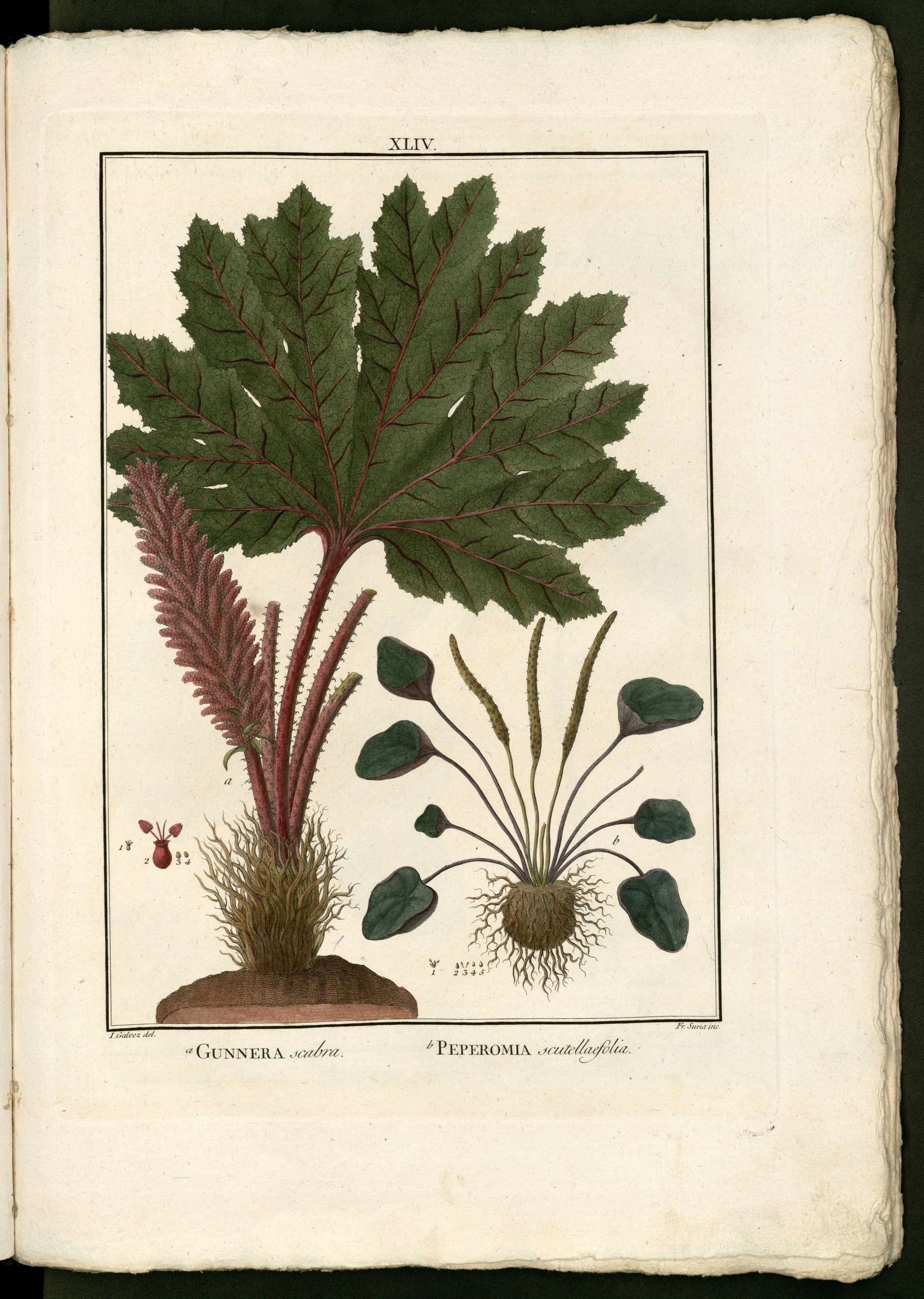 no full size  illustration available (3a)