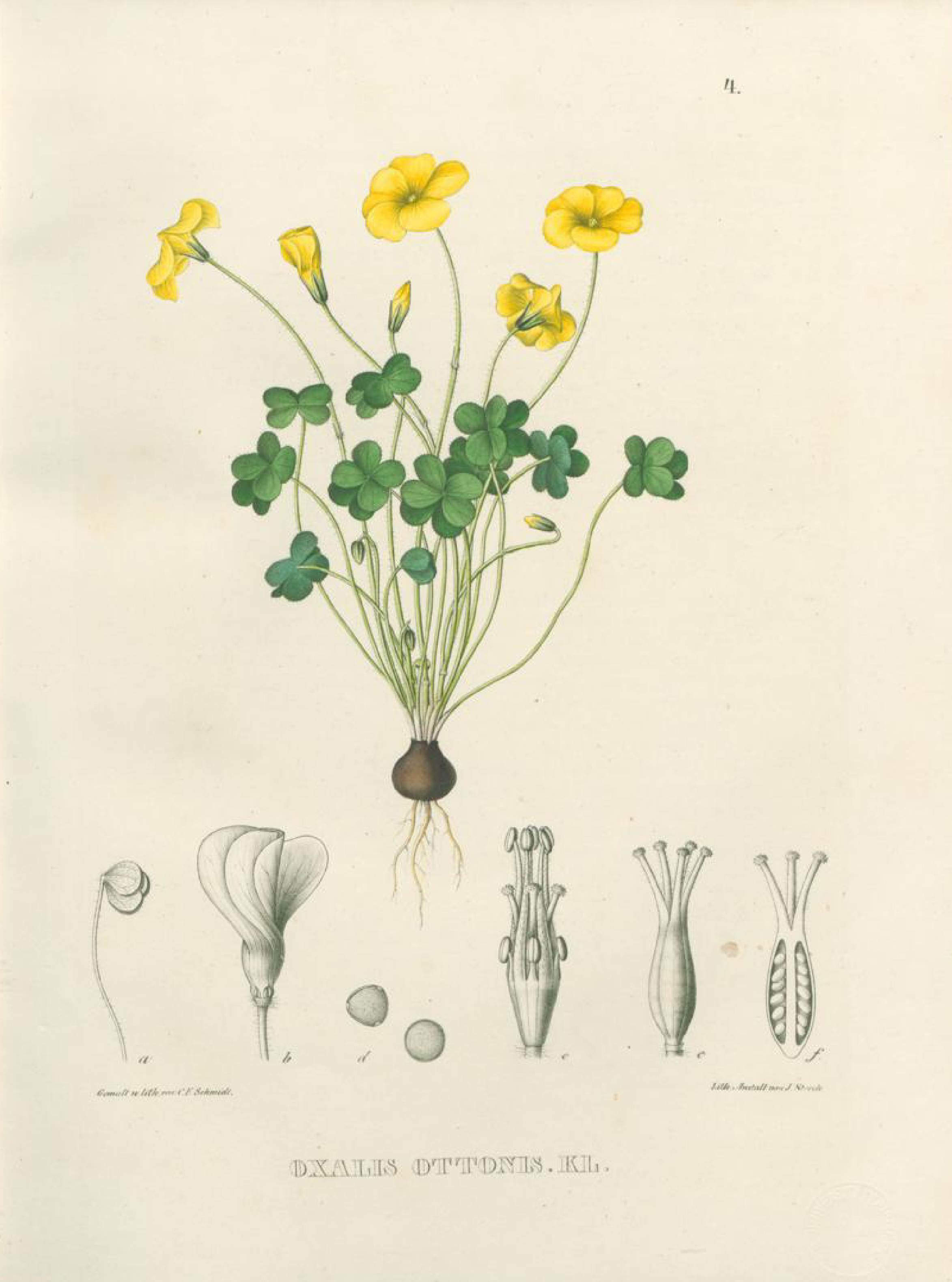 no full size  illustration available (3a)