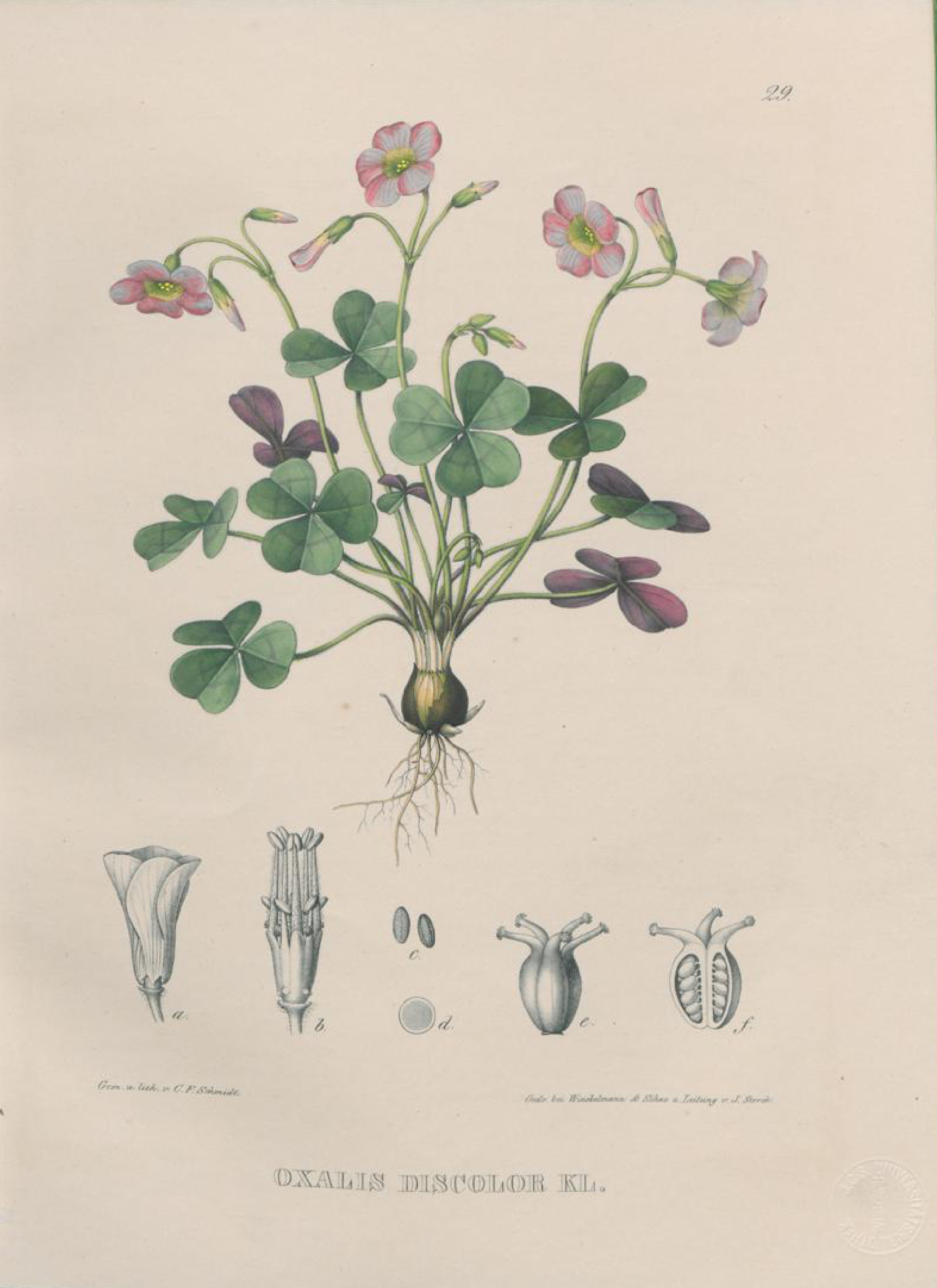 no full size  illustration available (3a)